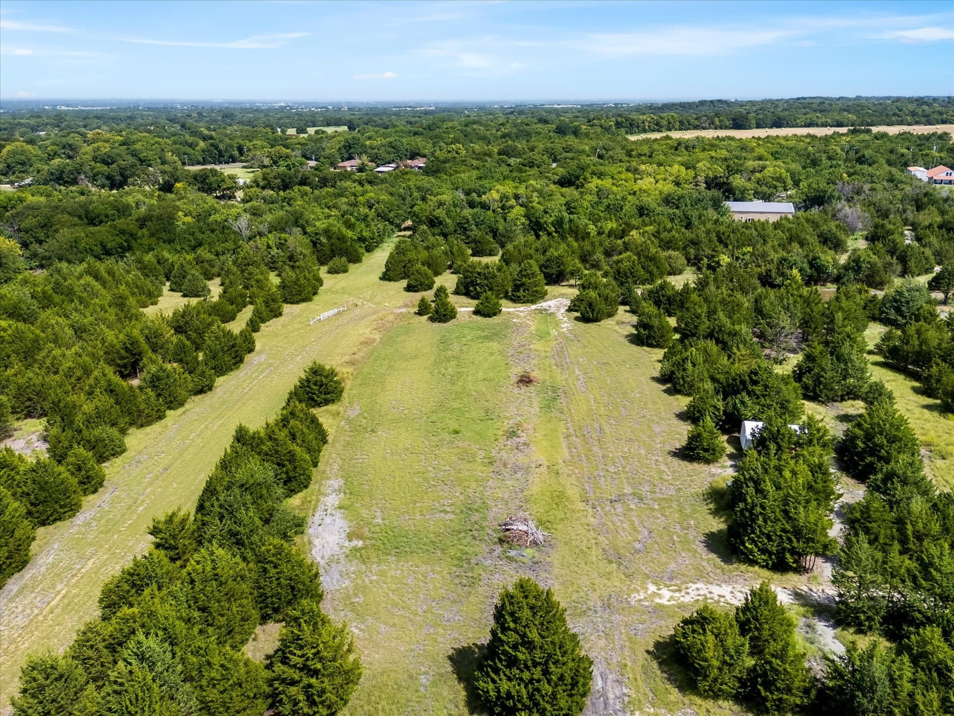 12.01 acres in Collin County - photo 9