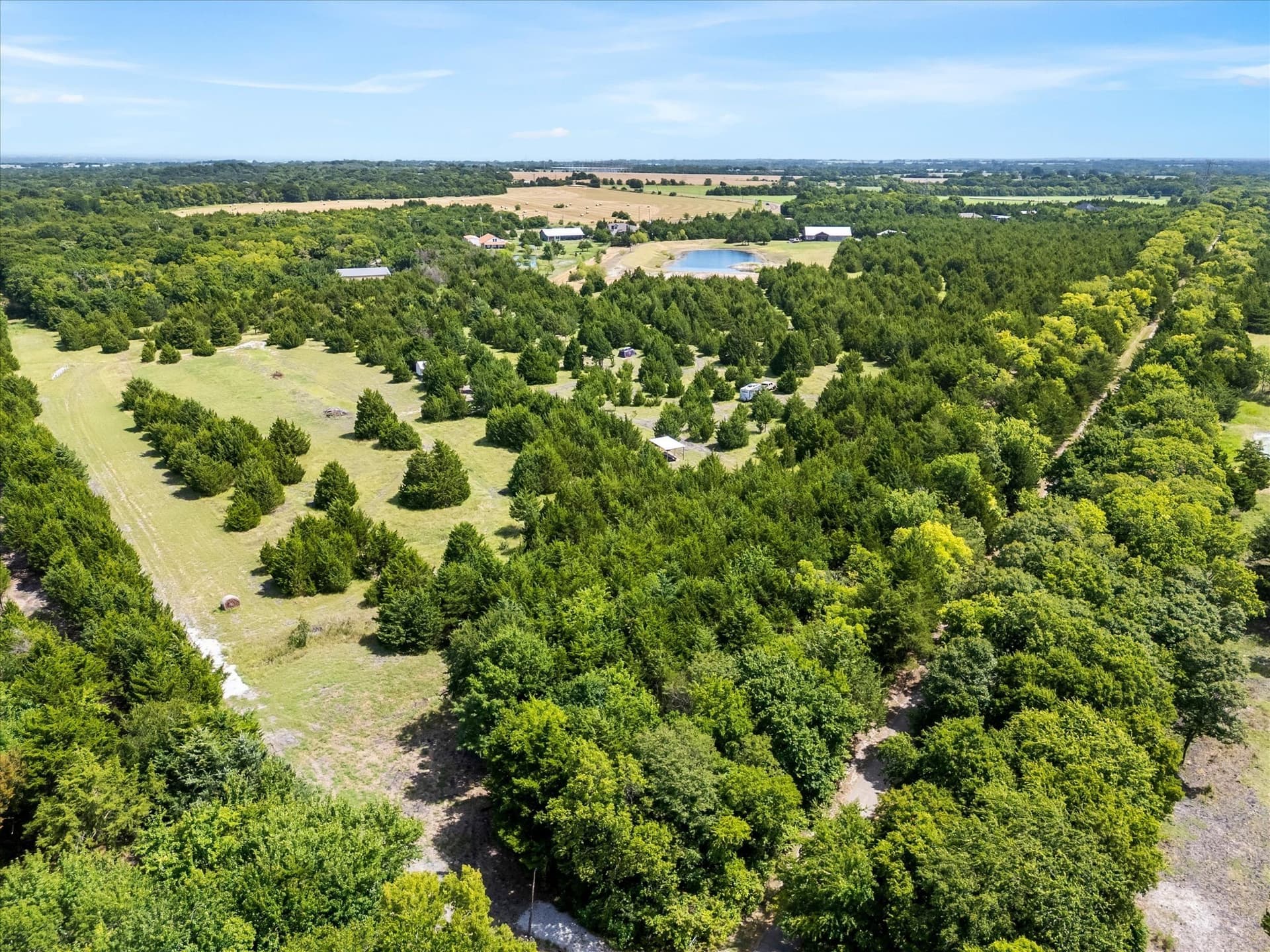 12.01 acres in Collin County - photo 16