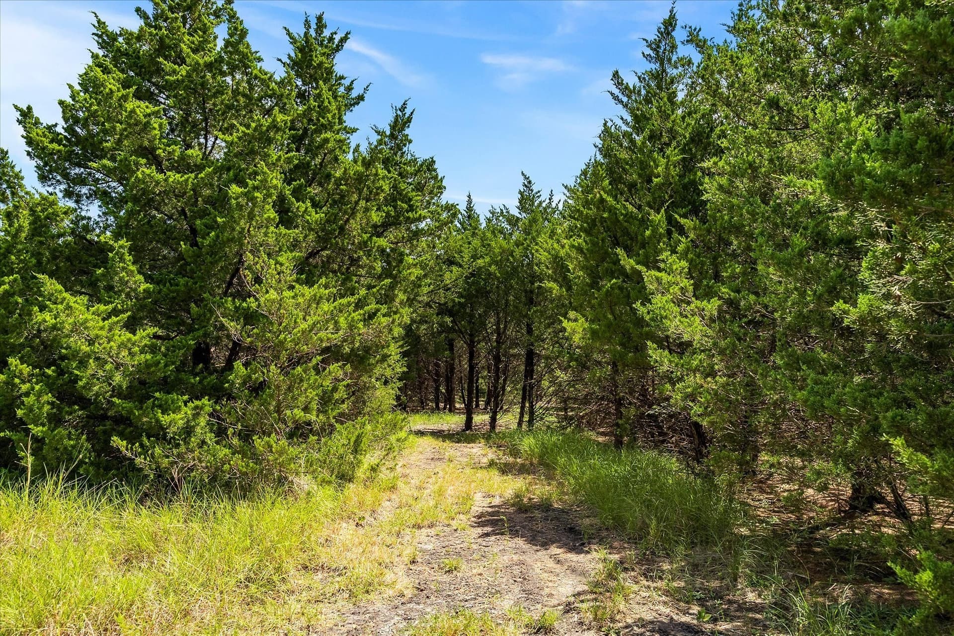 12.01 acres in Collin County - photo 32