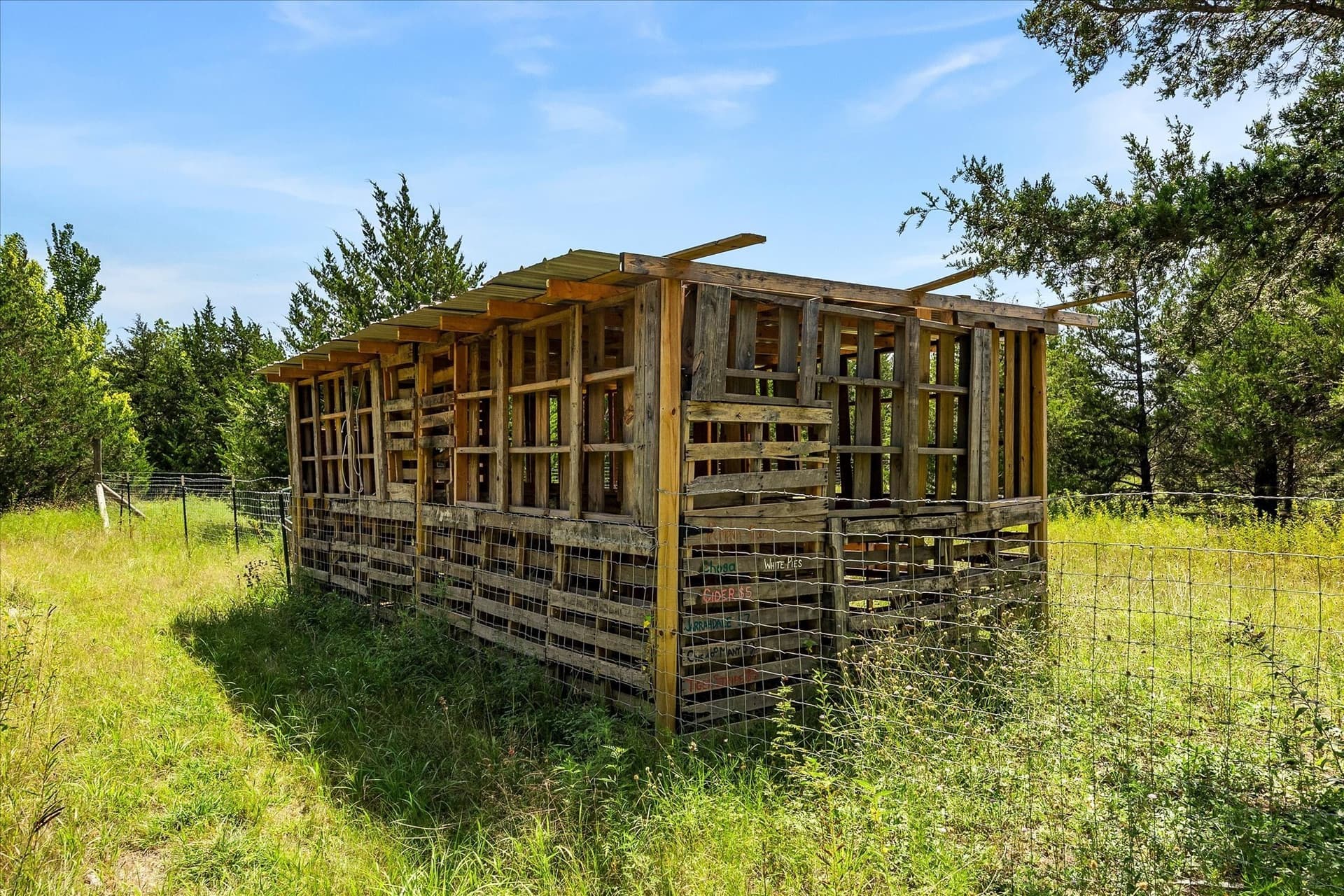12.01 acres in Collin County - photo 23