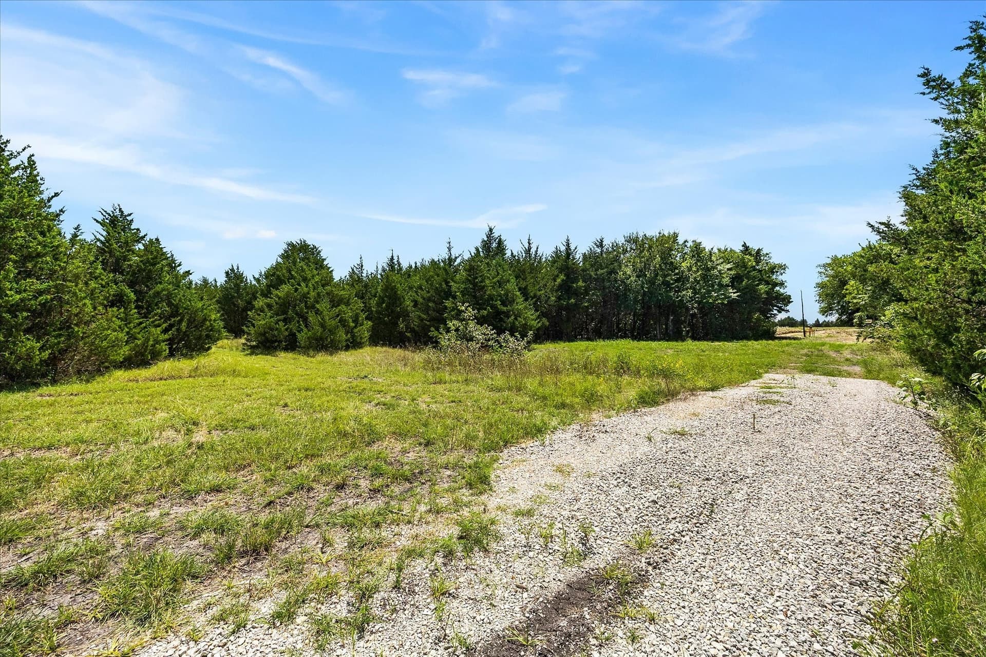 12.01 acres in Collin County - photo 34