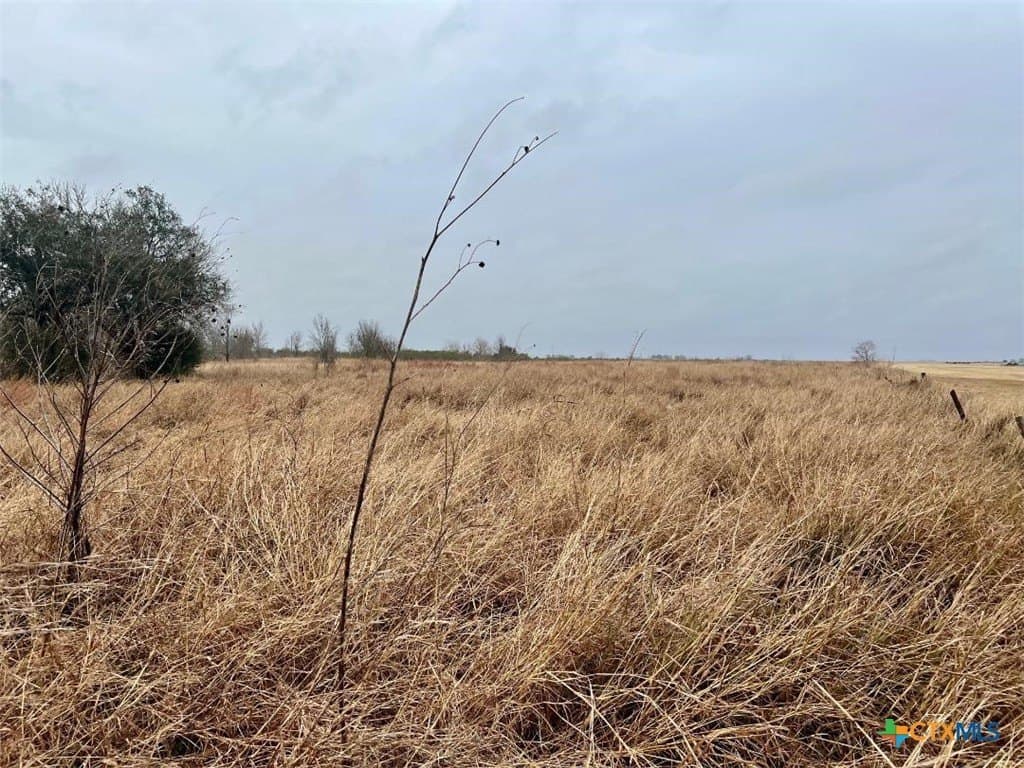 8 acres in Jackson County gallery image 3