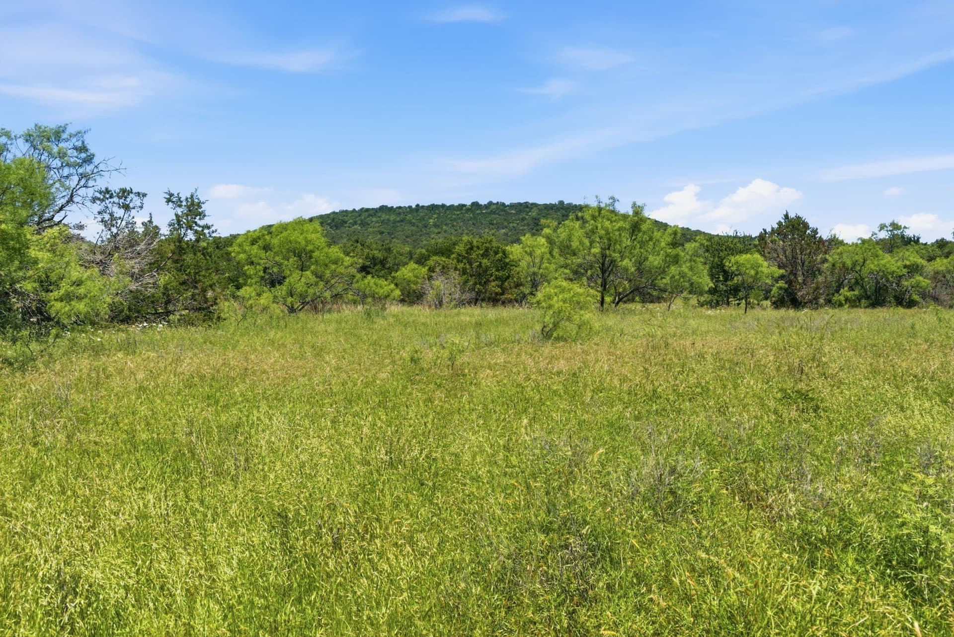 154 acres in Palo Pinto County - photo 18