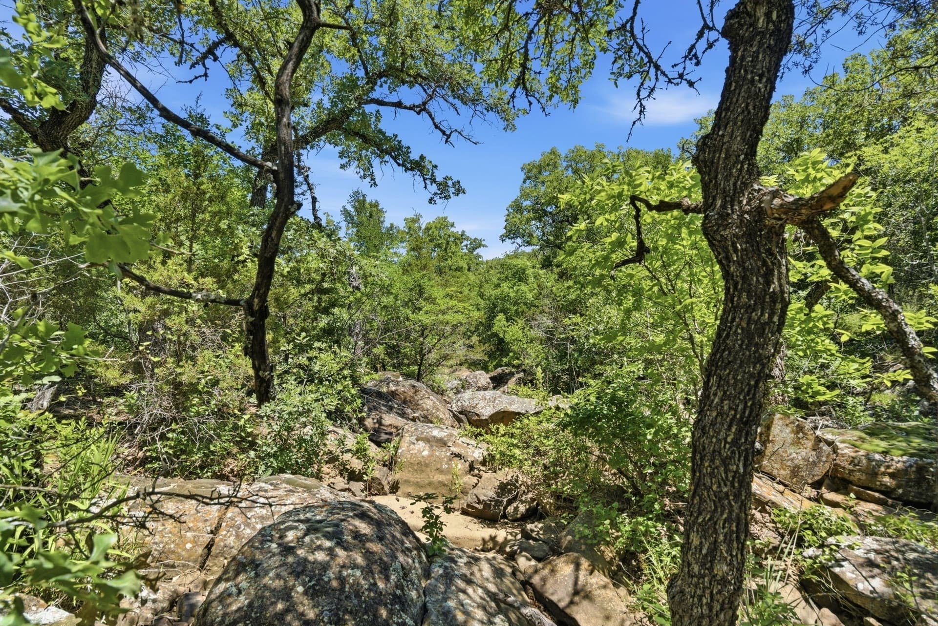 154 acres in Palo Pinto County - photo 12