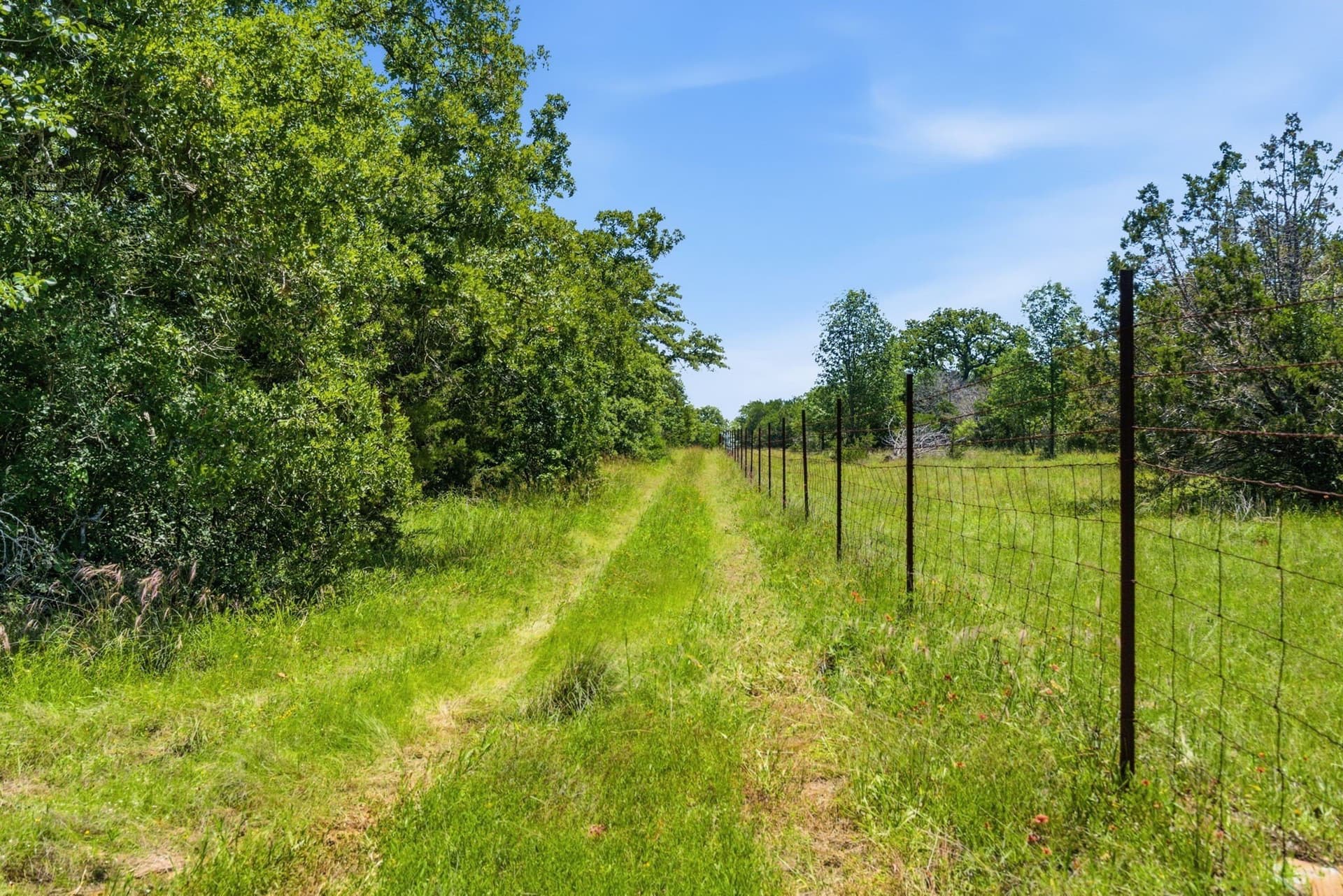 154 acres in Palo Pinto County - photo 10