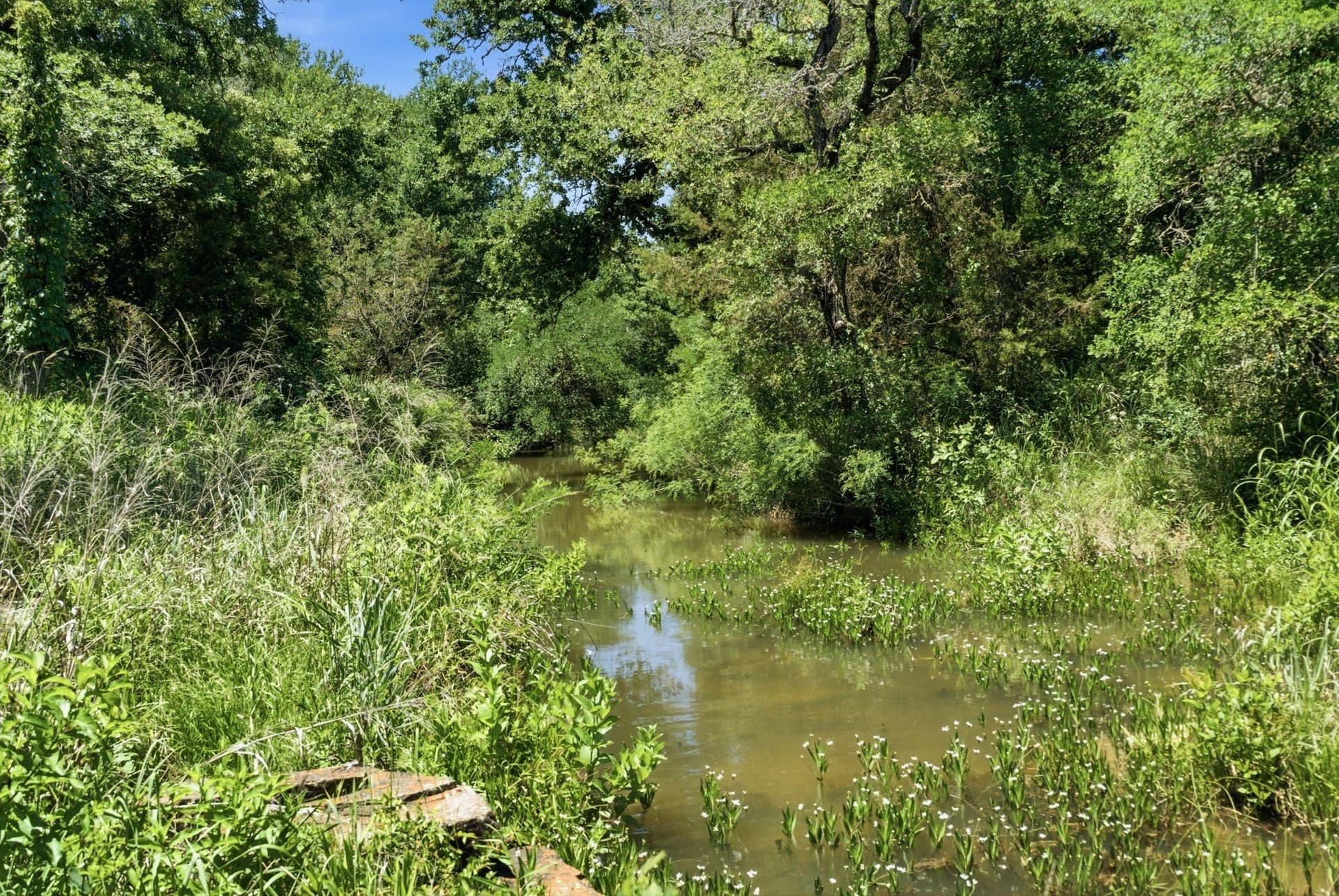 154 acres in Palo Pinto County - photo 19