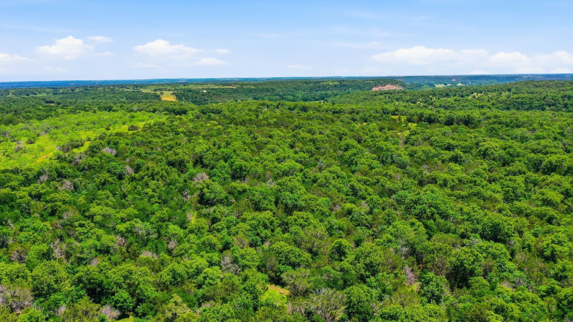 154 acres in Palo Pinto County - photo 33