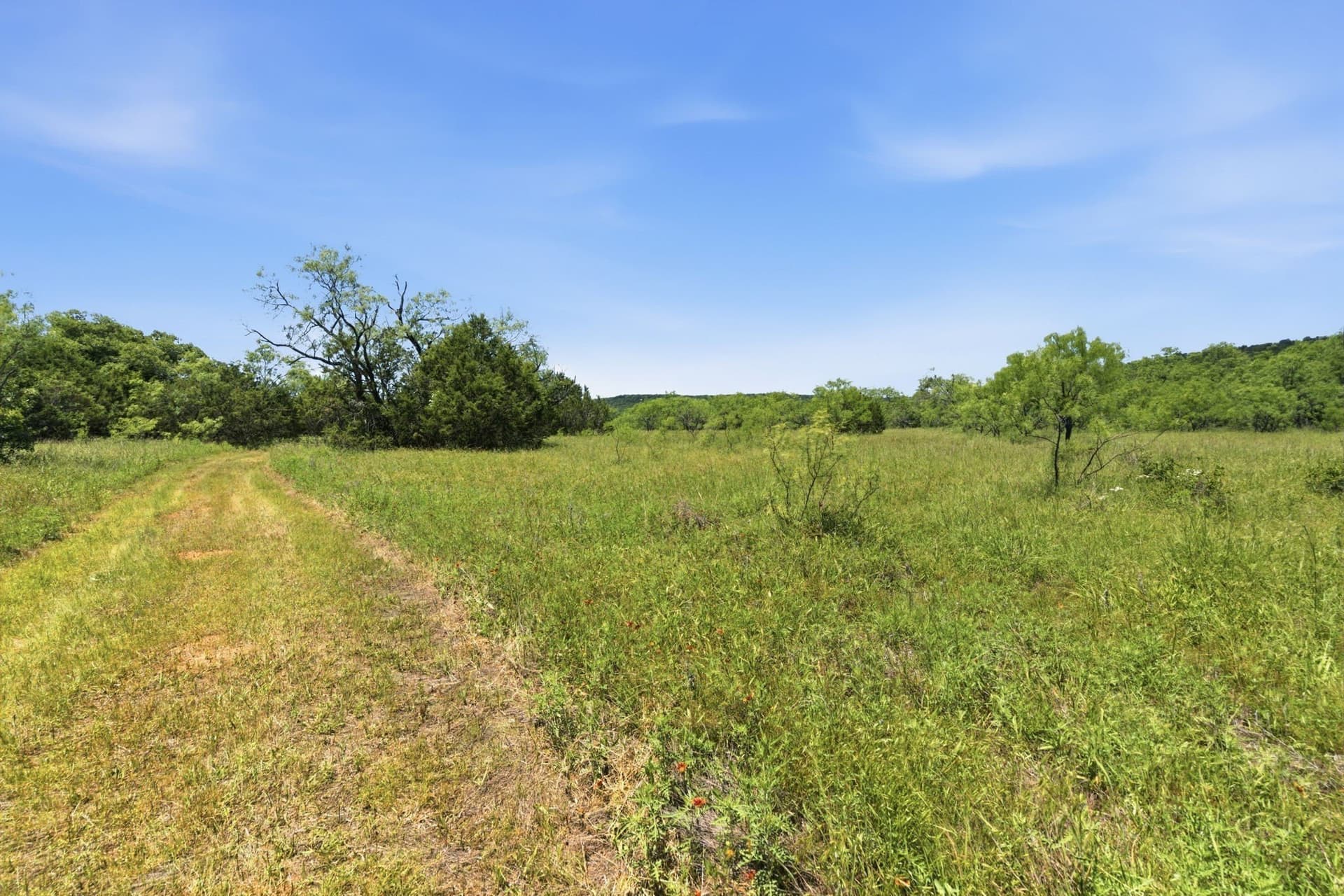 154 acres in Palo Pinto County - photo 17