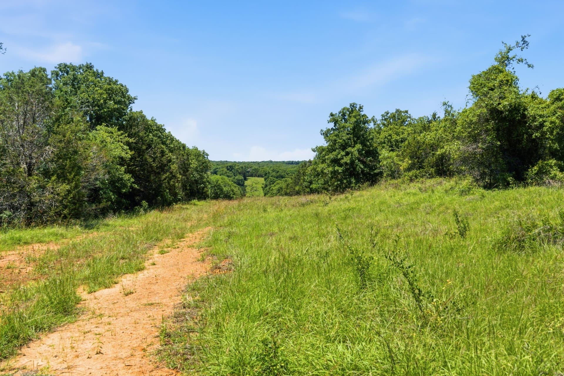 154 acres in Palo Pinto County - photo 15