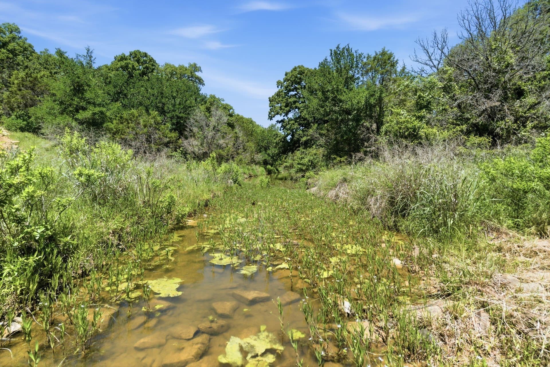 154 acres in Palo Pinto County - photo 4