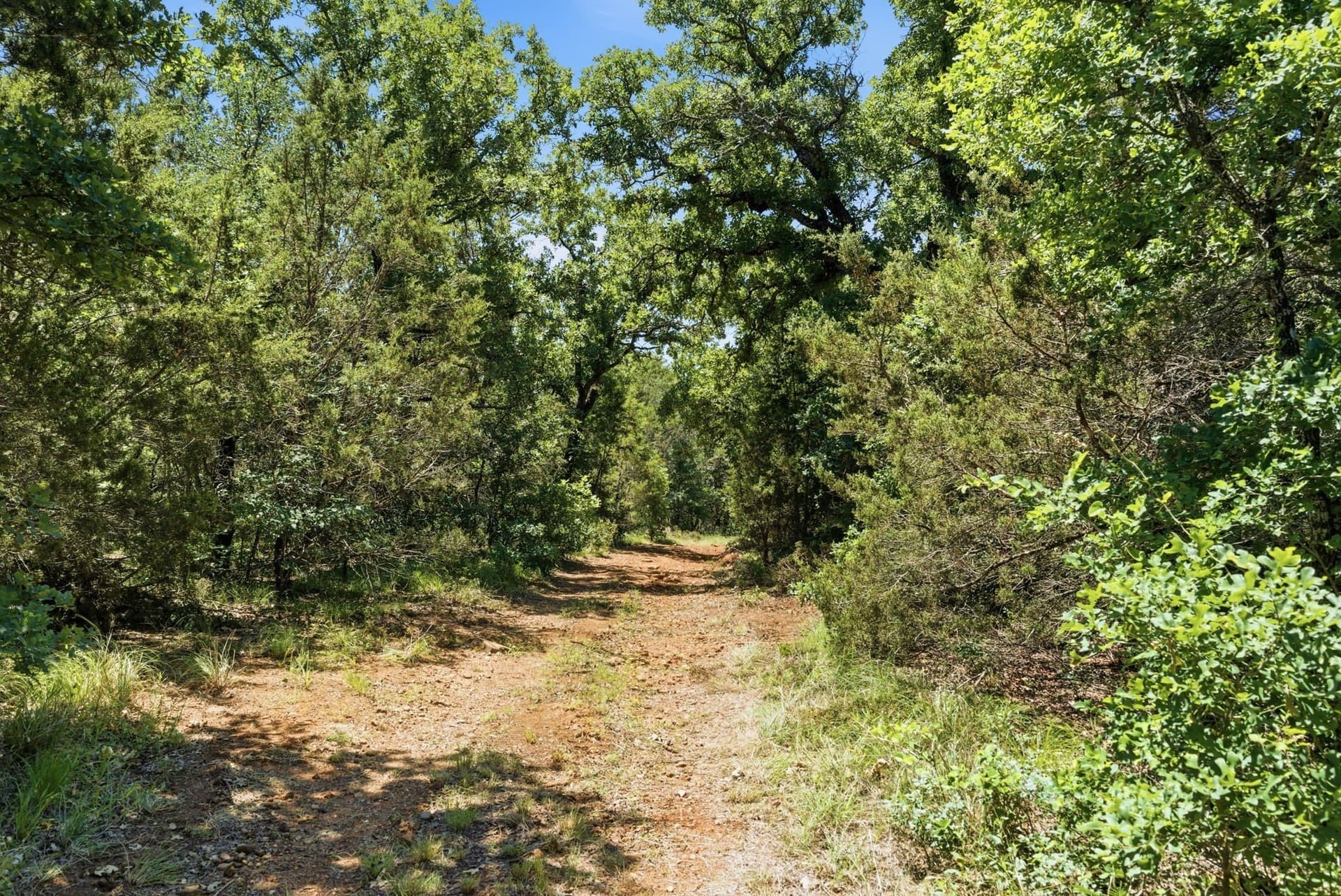 154 acres in Palo Pinto County - photo 3