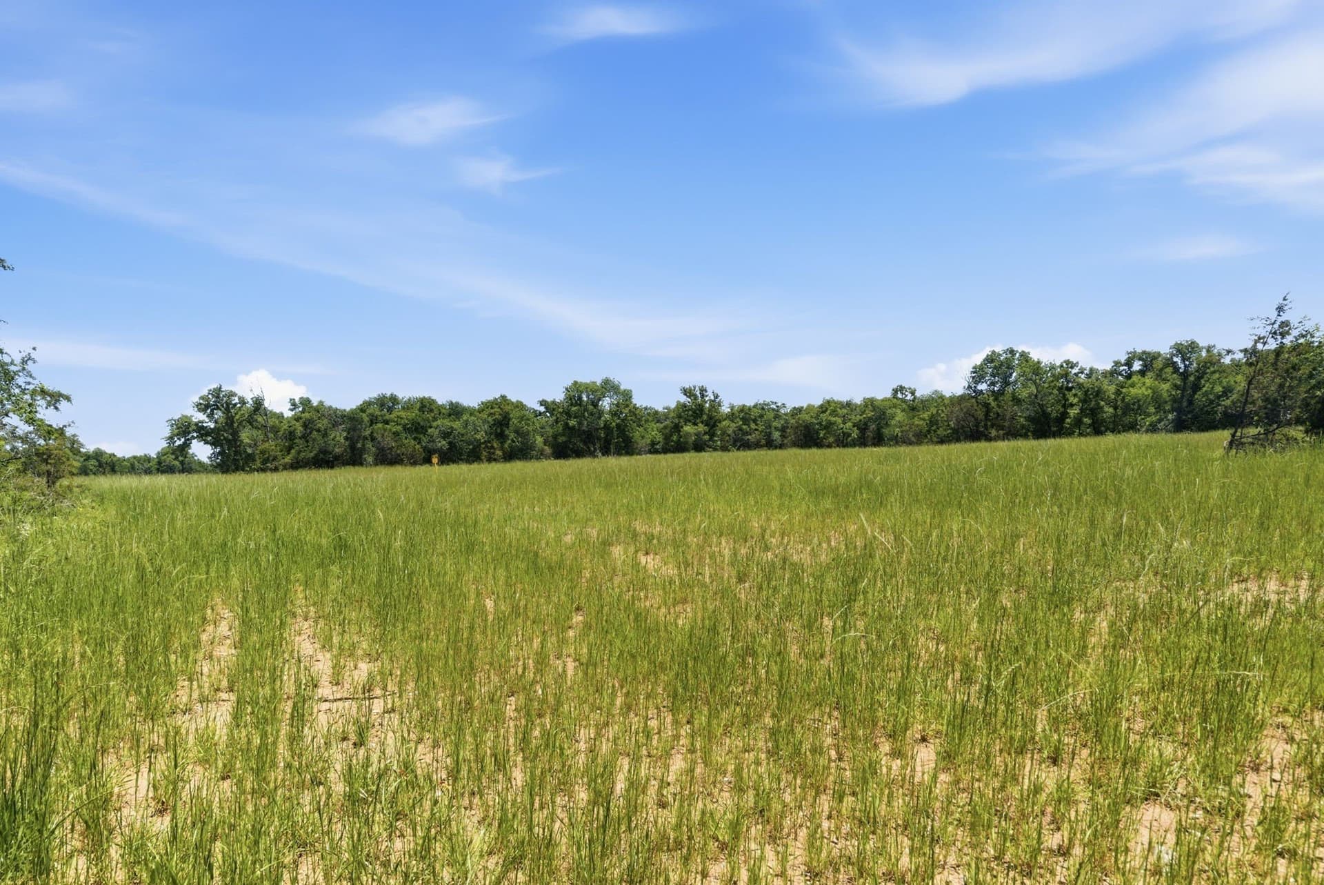154 acres in Palo Pinto County - photo 14