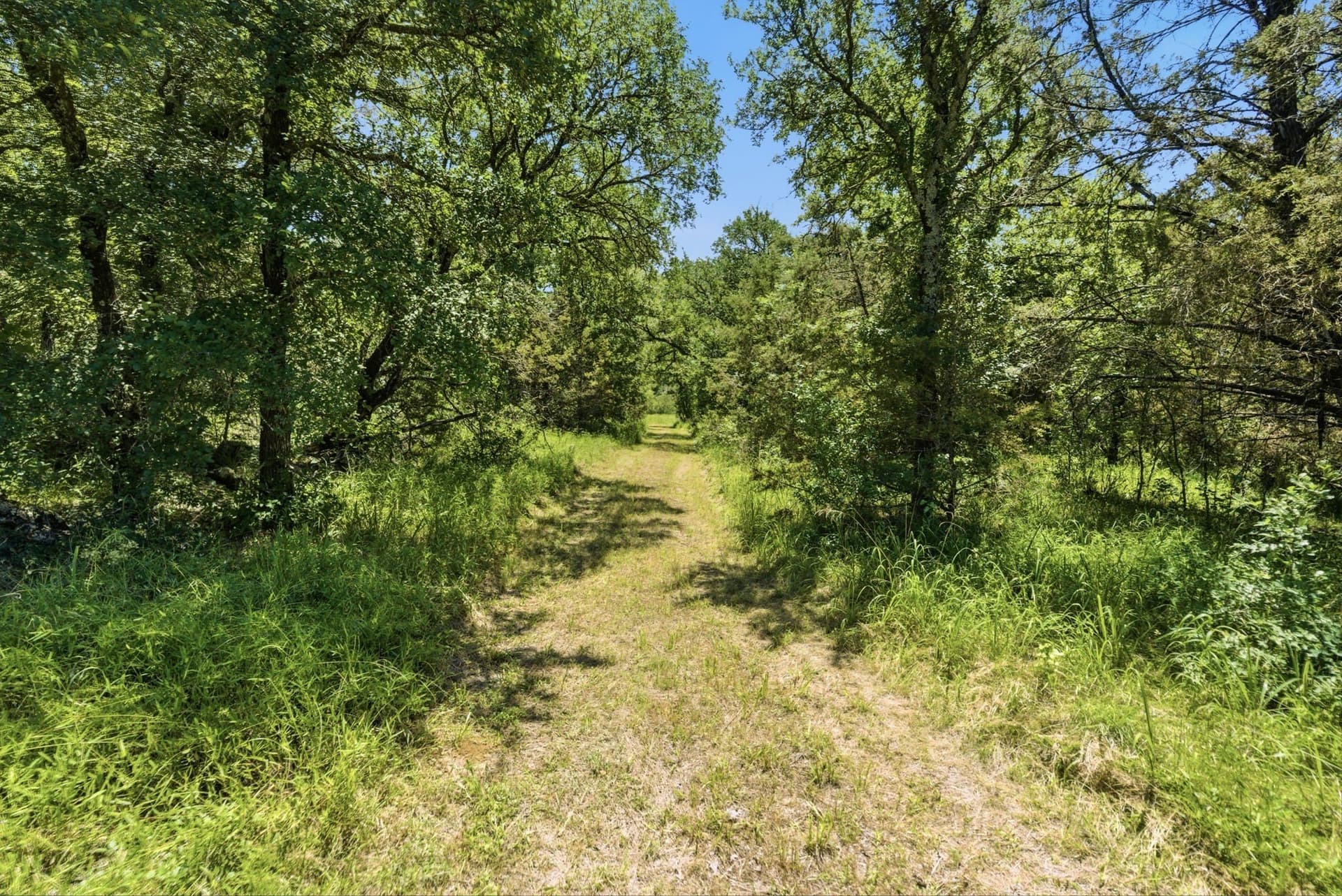 154 acres in Palo Pinto County - photo 6
