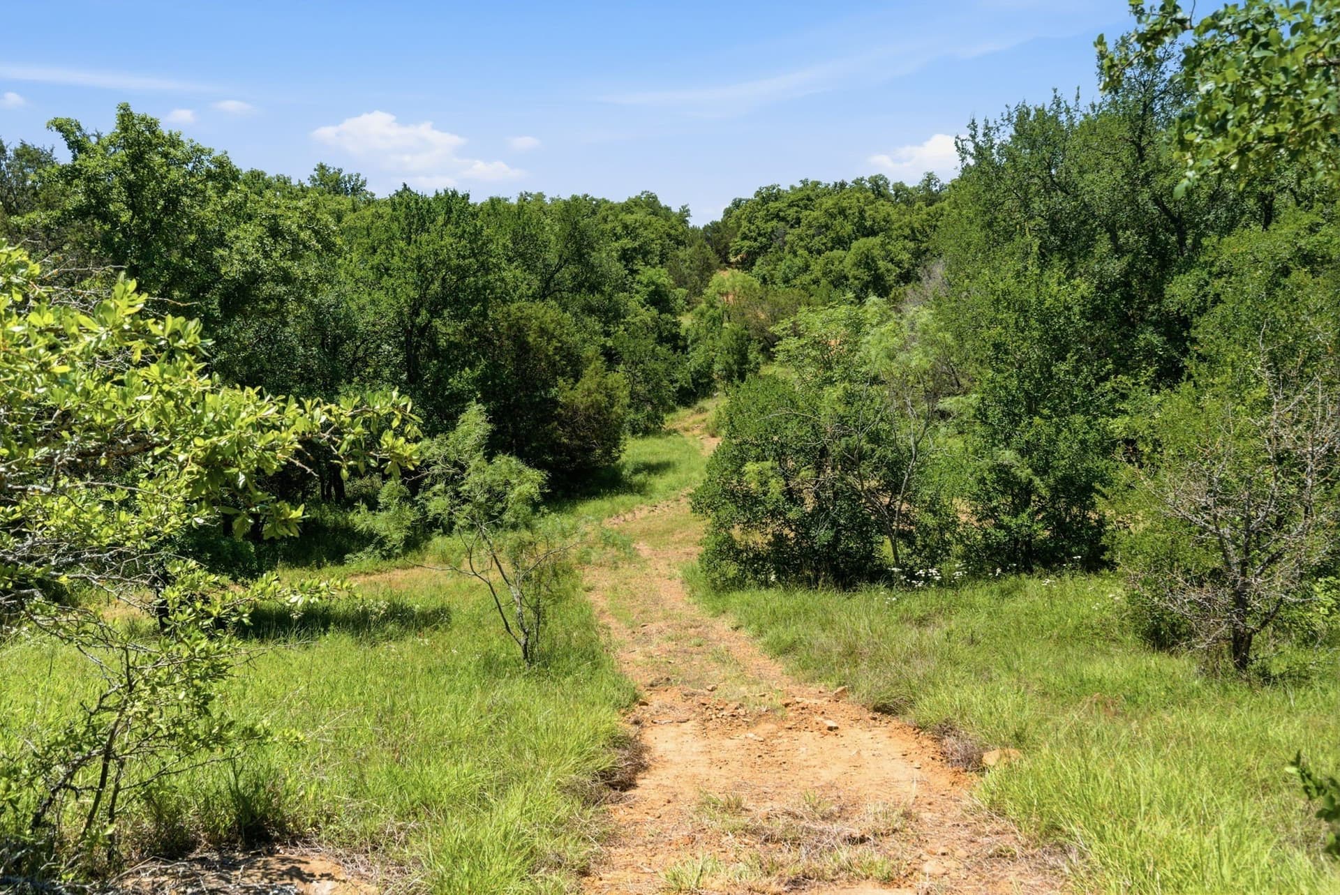 154 acres in Palo Pinto County - photo 7