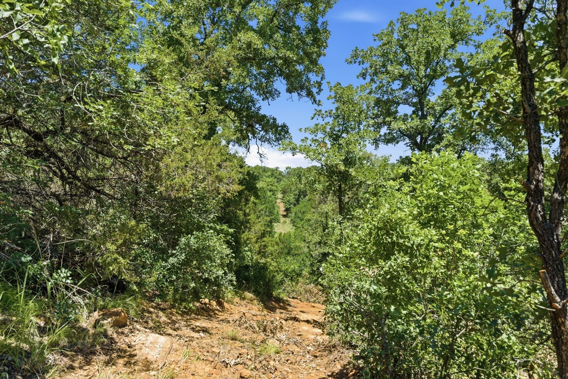 154 acres in Palo Pinto County - photo 13