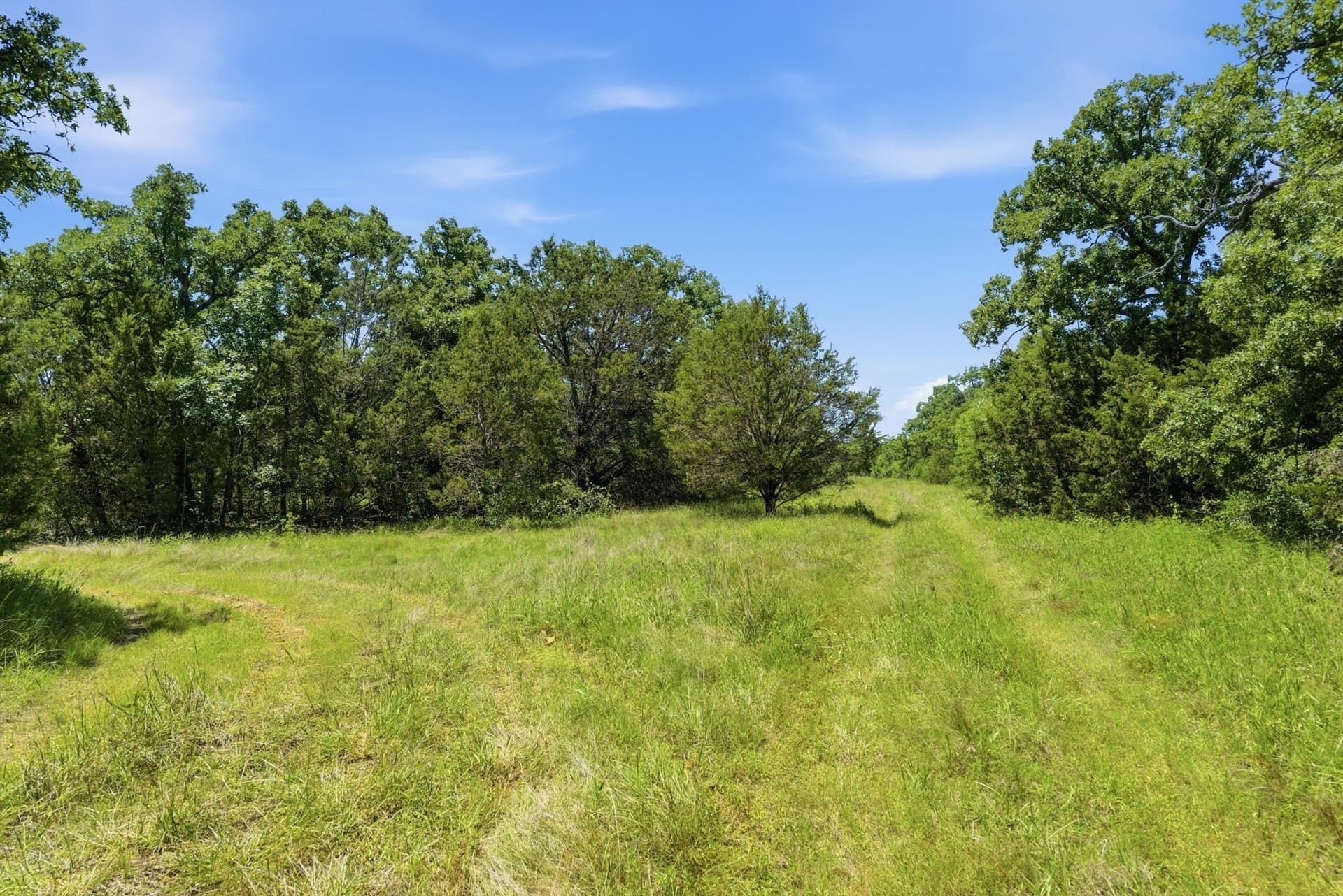 154 acres in Palo Pinto County - photo 5