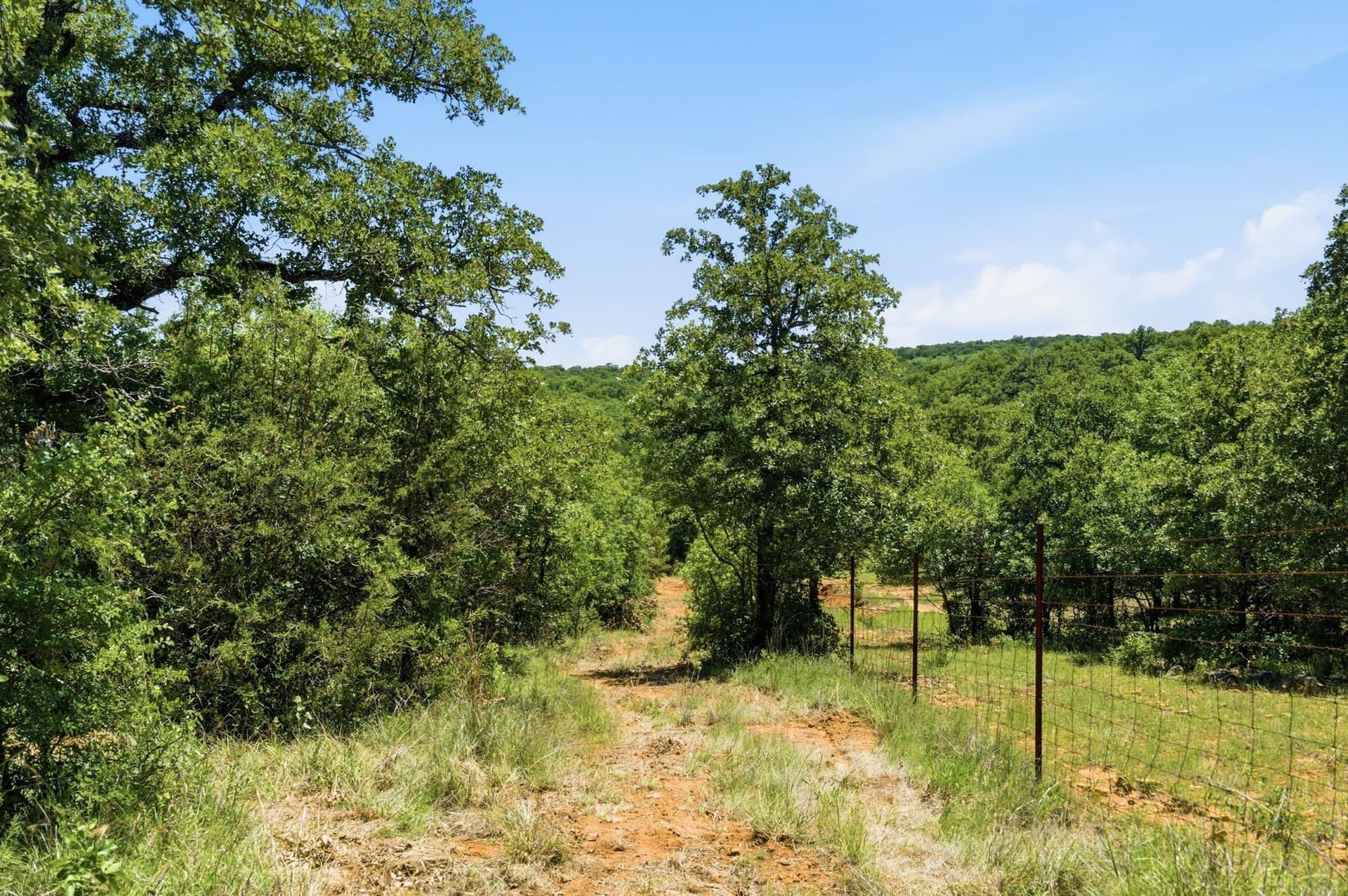 154 acres in Palo Pinto County - photo 11