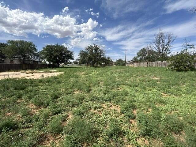 0.4 acres in Hockley County gallery image 2