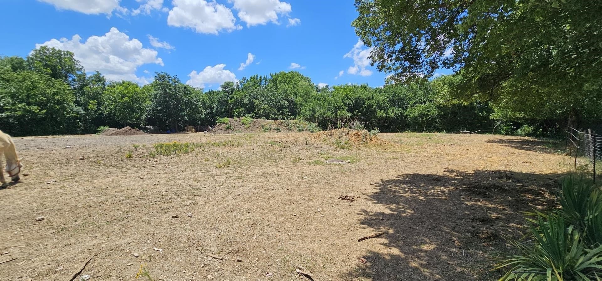 1.82 acres in Tarrant County gallery image 3