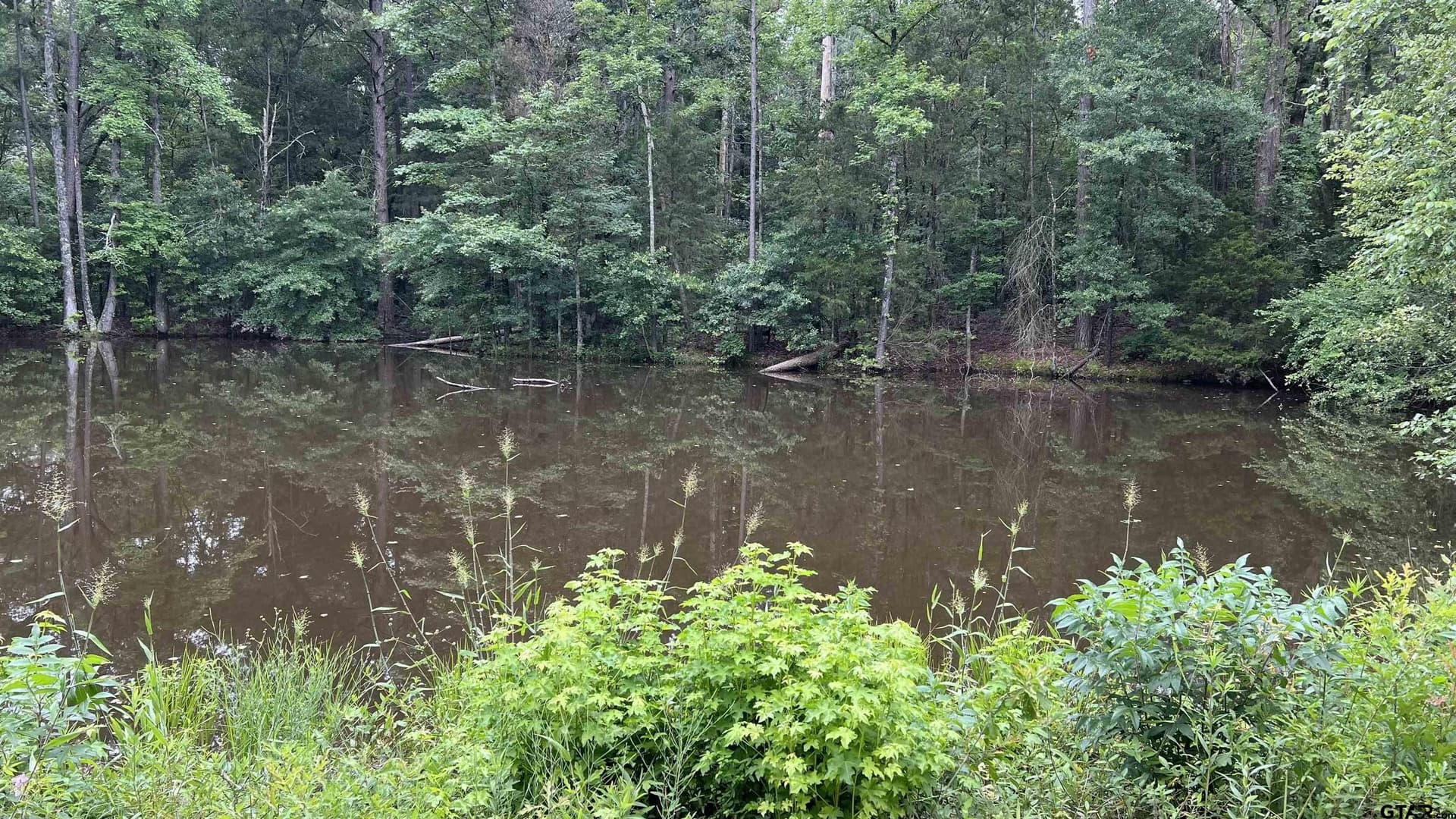 21.7 acres in Wood County - photo 8