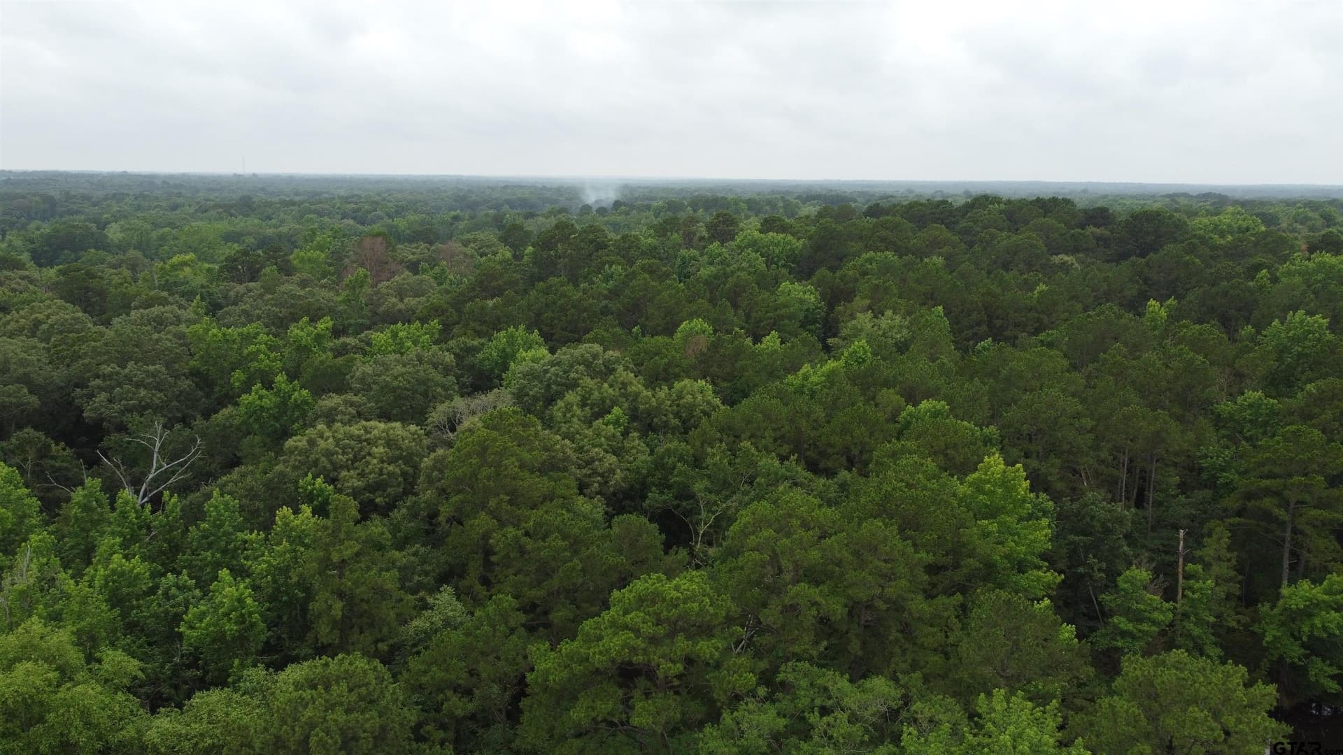 21.7 acres in Wood County - photo 13