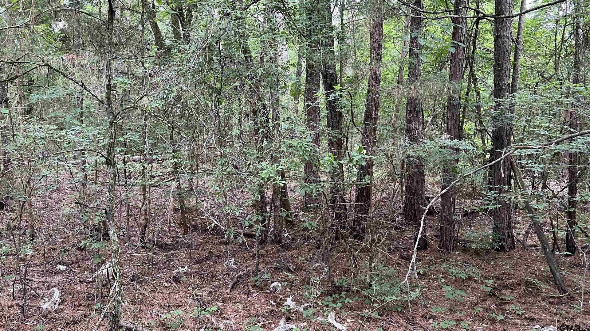 21.7 acres in Wood County - photo 15