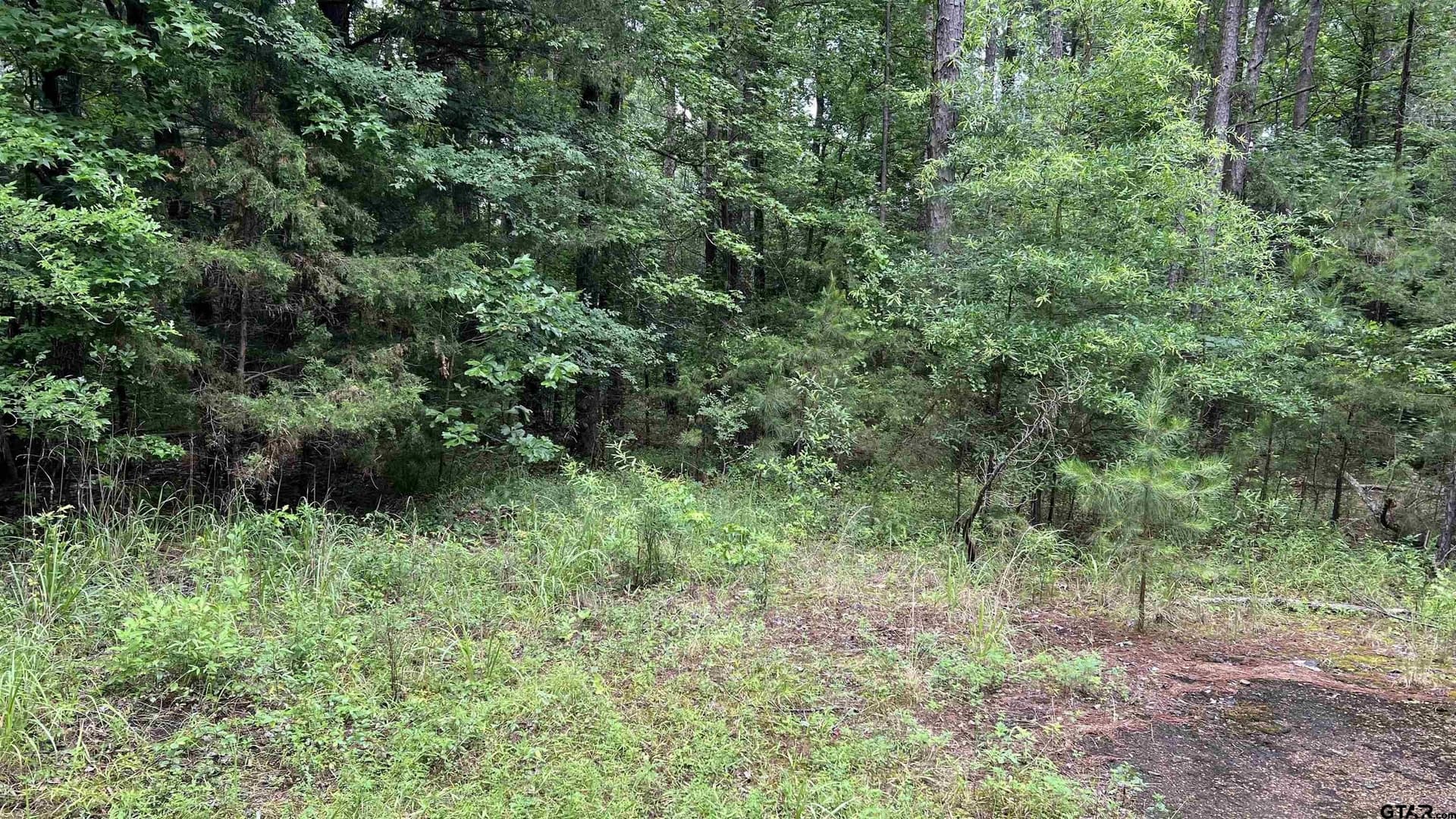 21.7 acres in Wood County - photo 16