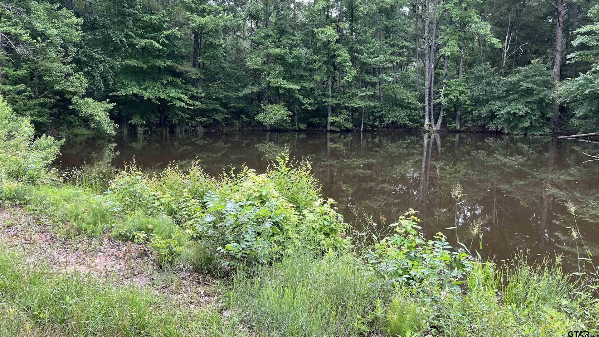 21.7 acres in Wood County - photo 5