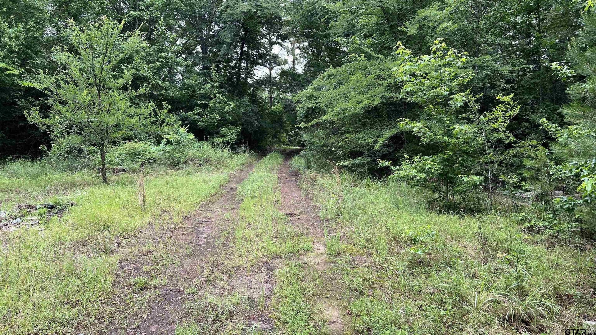 21.7 acres in Wood County - photo 17