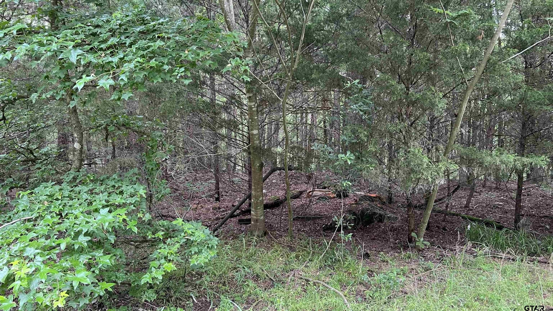 21.7 acres in Wood County - photo 14