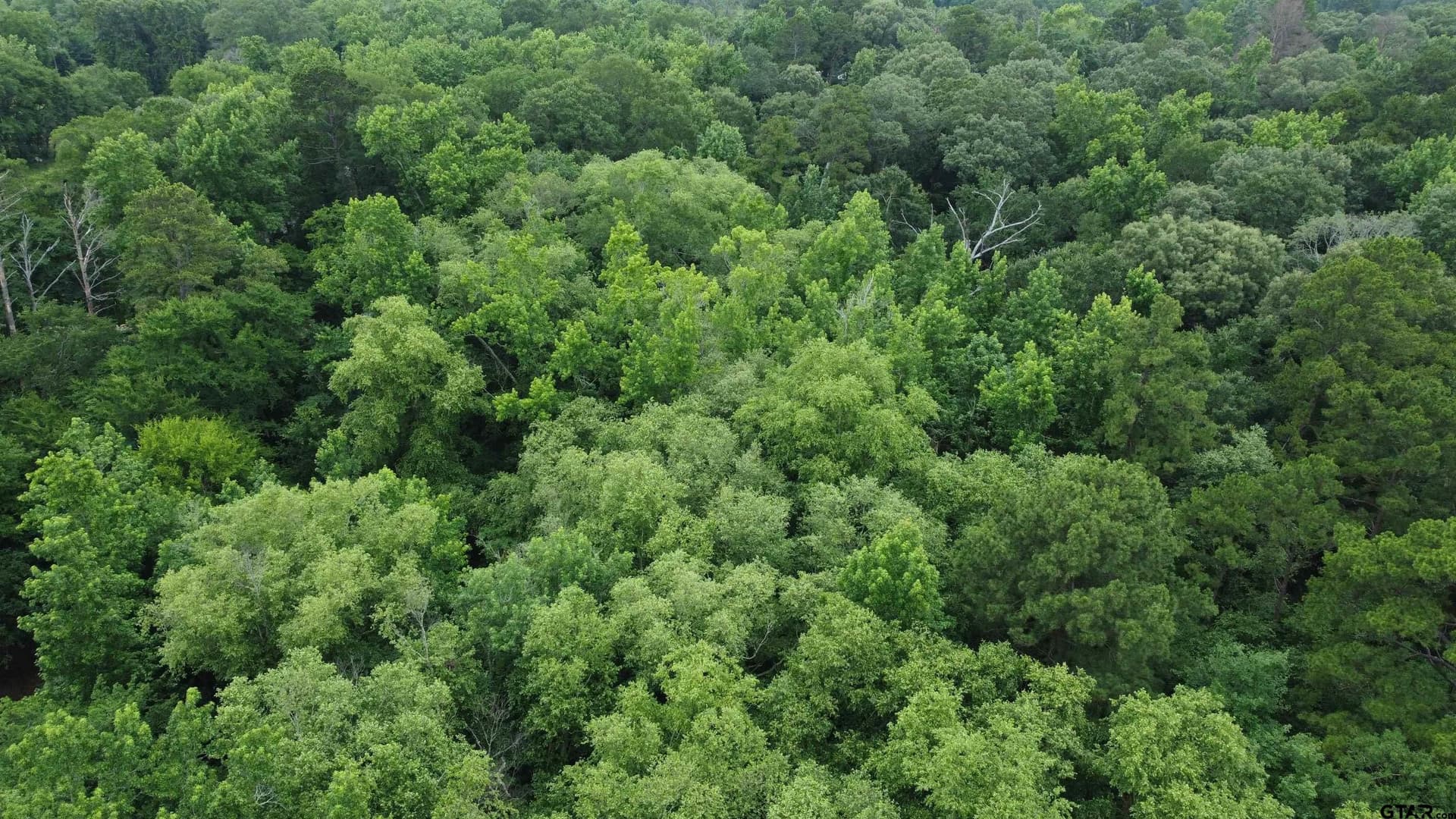 21.7 acres in Wood County - photo 12