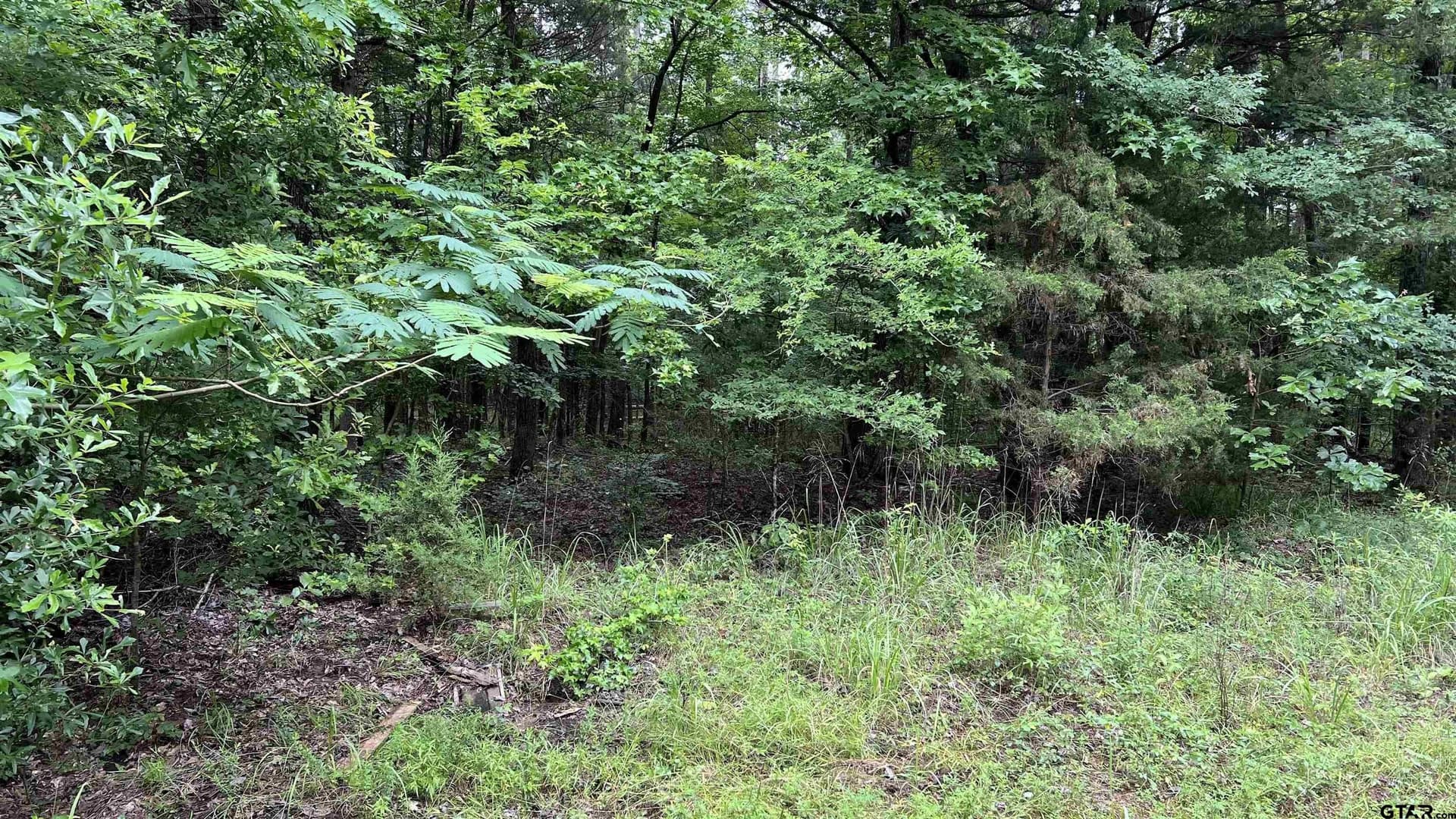 21.7 acres in Wood County - photo 7