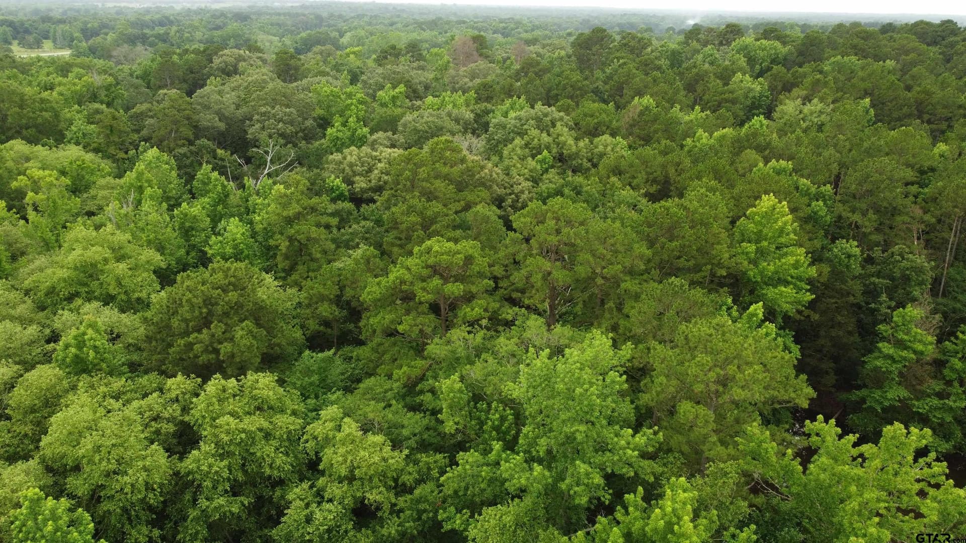 21.7 acres in Wood County - photo 9