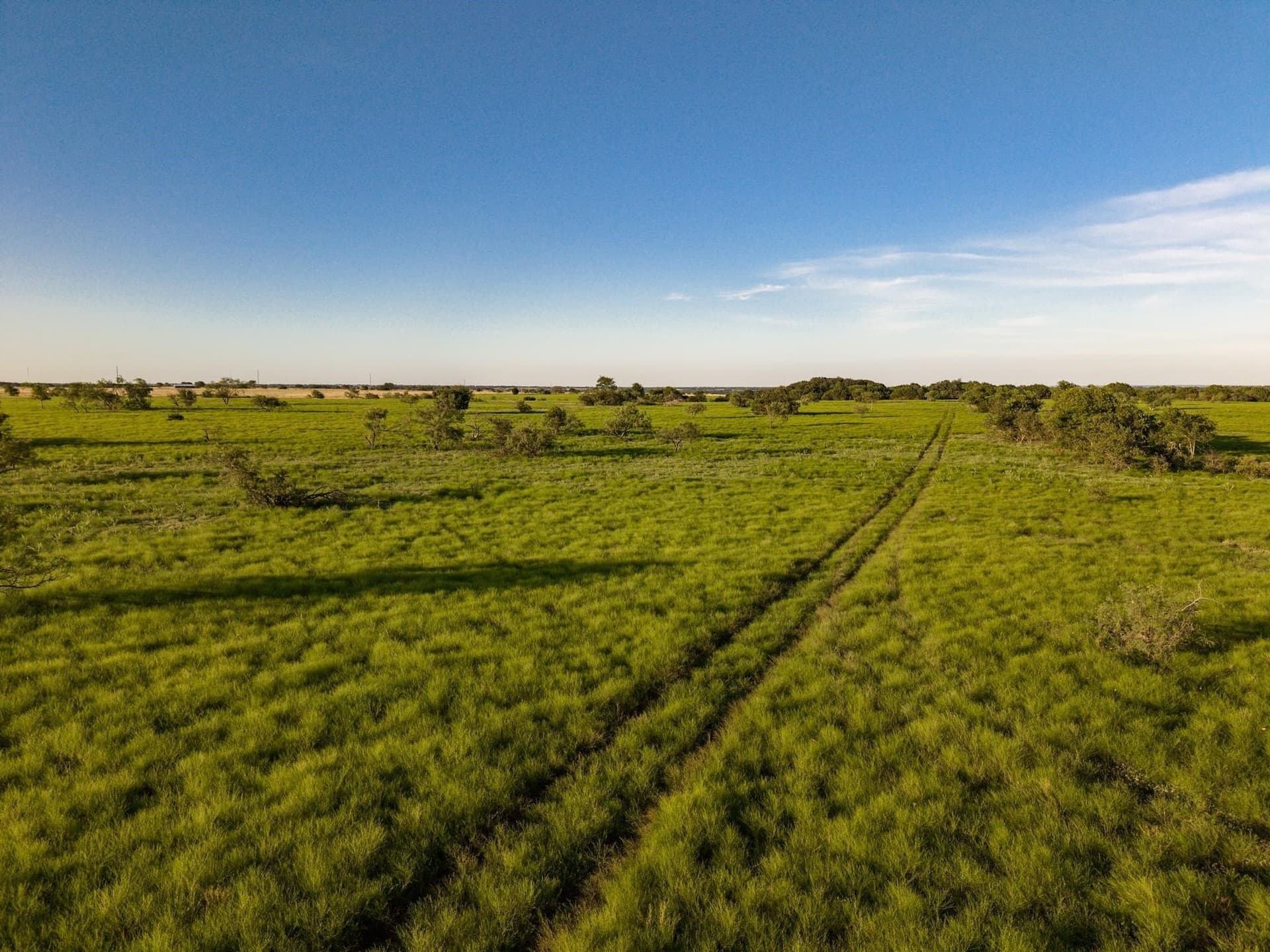 37 acres in McLennan County - photo 15