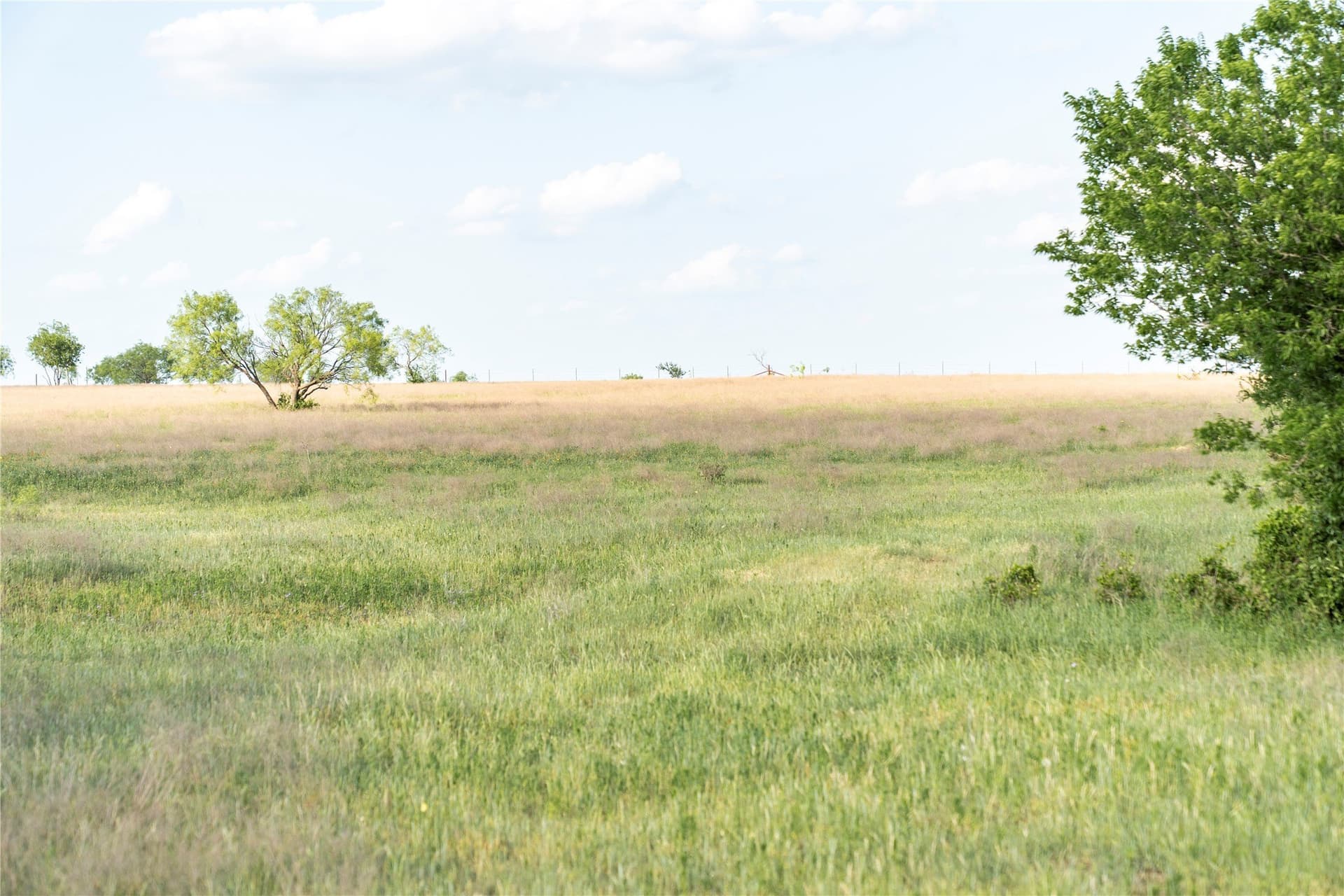 37 acres in McLennan County