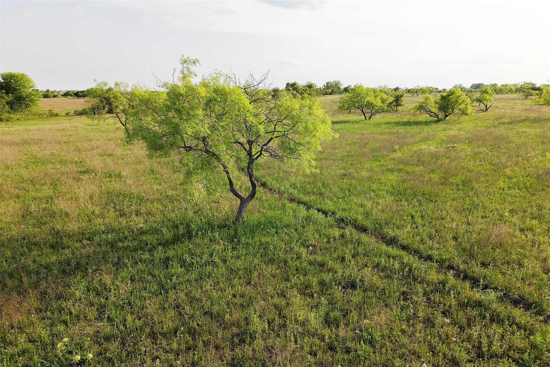 37 acres in McLennan County - photo 11