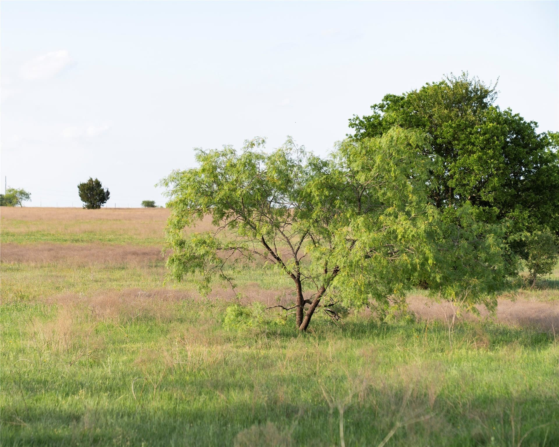 37 acres in McLennan County - photo 7