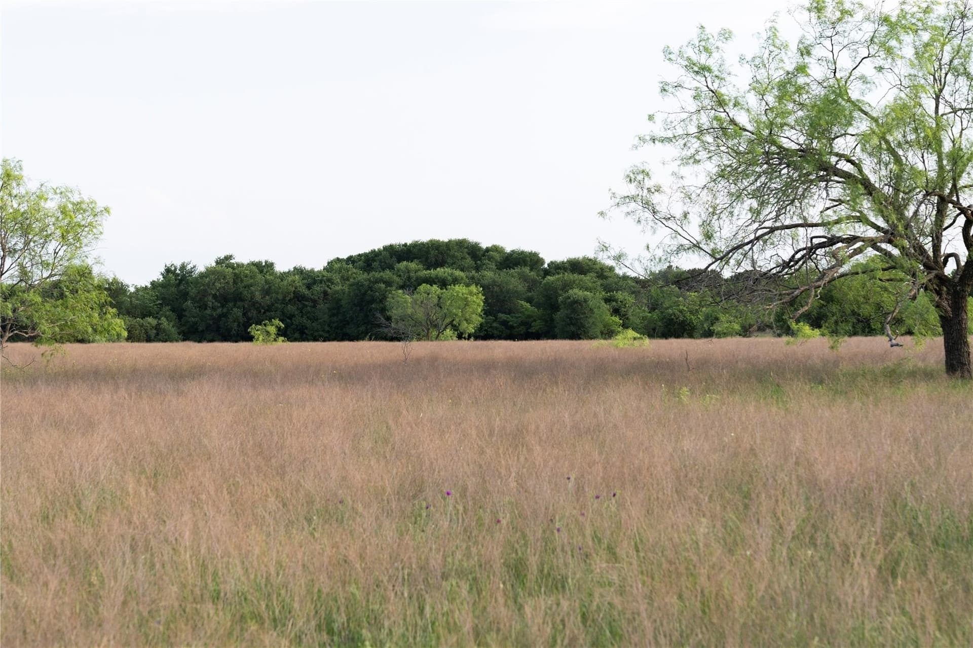 37 acres in McLennan County - photo 17