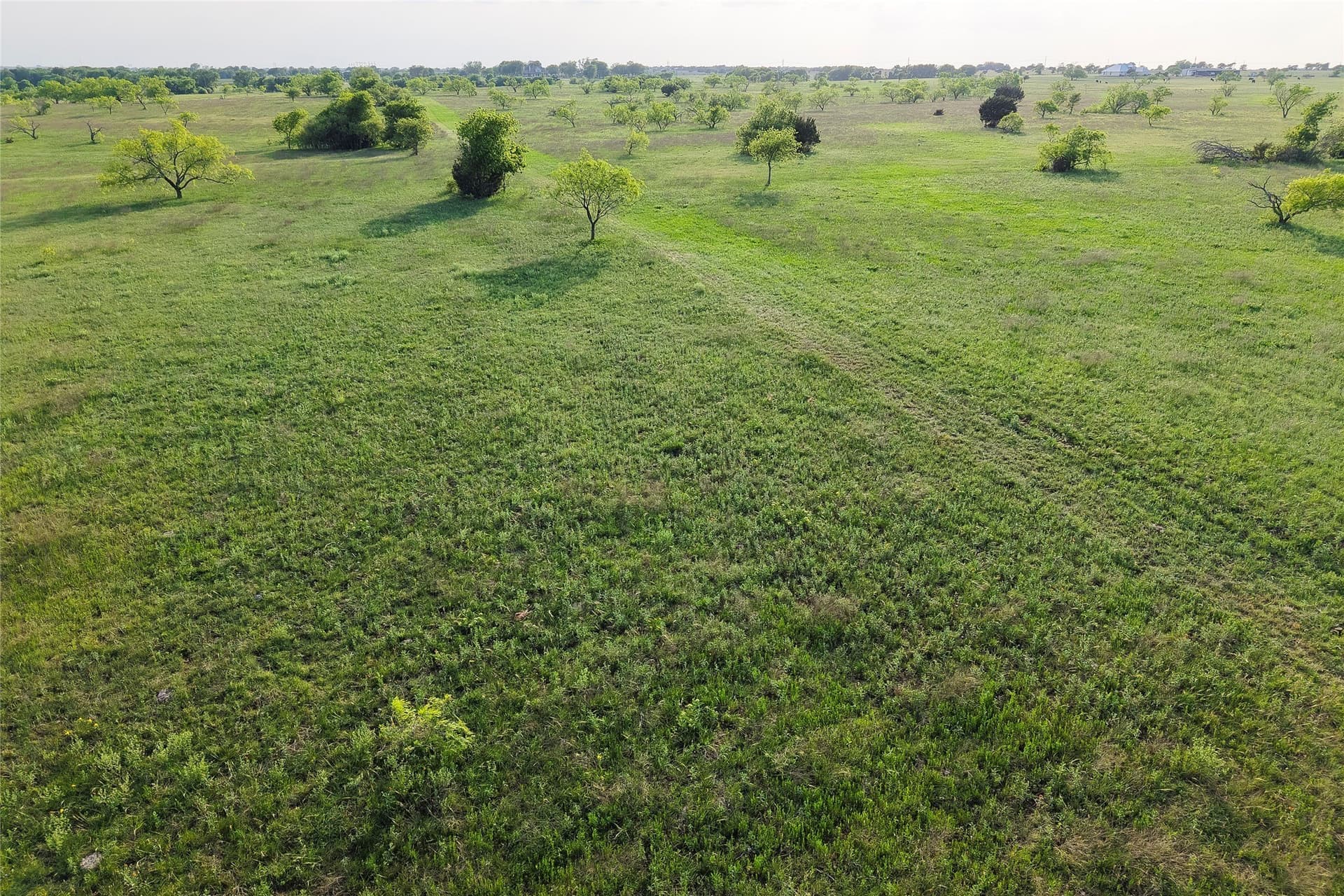 37 acres in McLennan County - photo 8