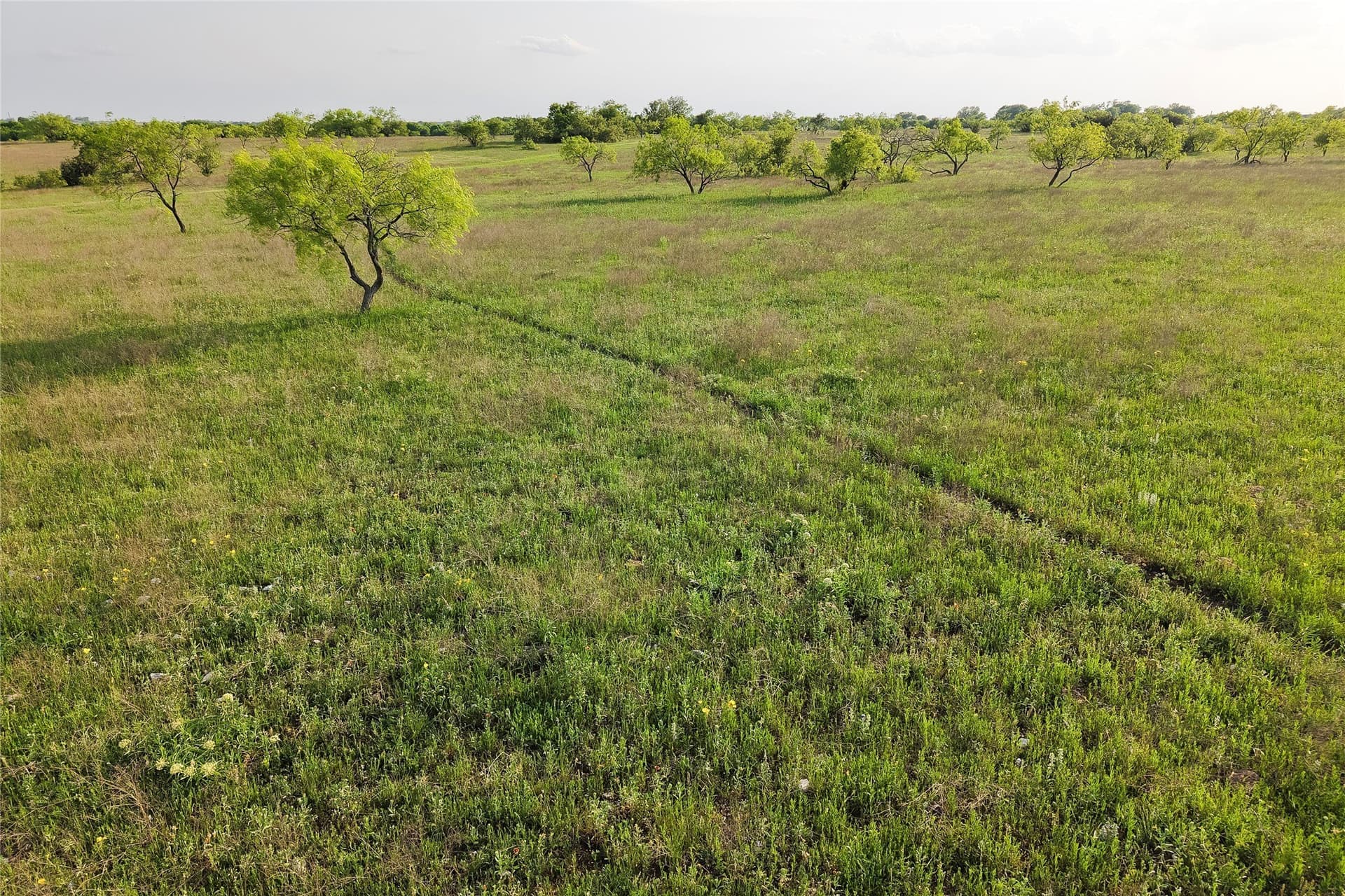 37 acres in McLennan County - photo 10