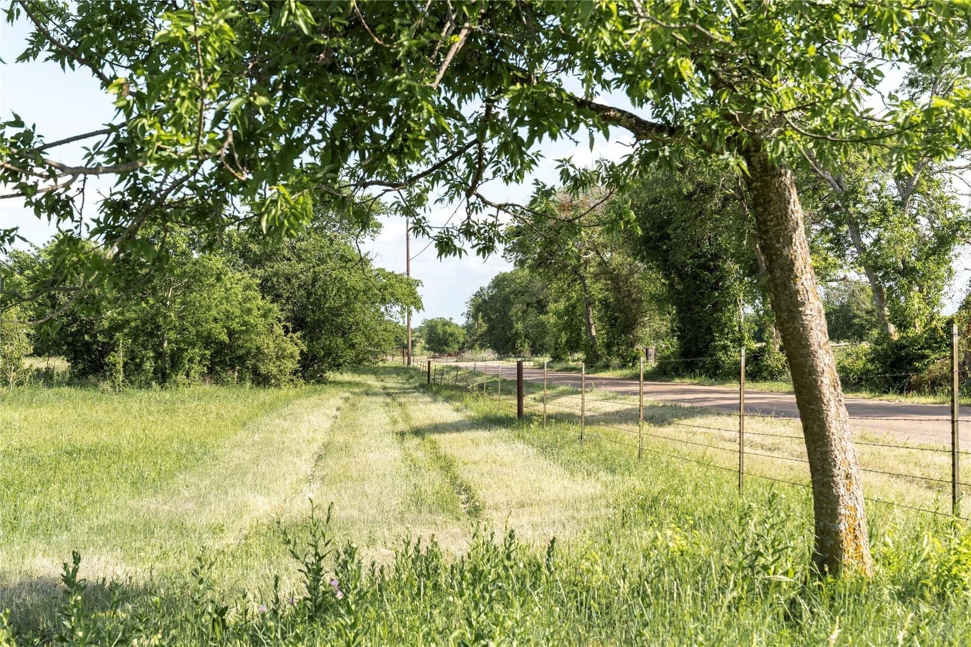 37 acres in McLennan County - photo 2