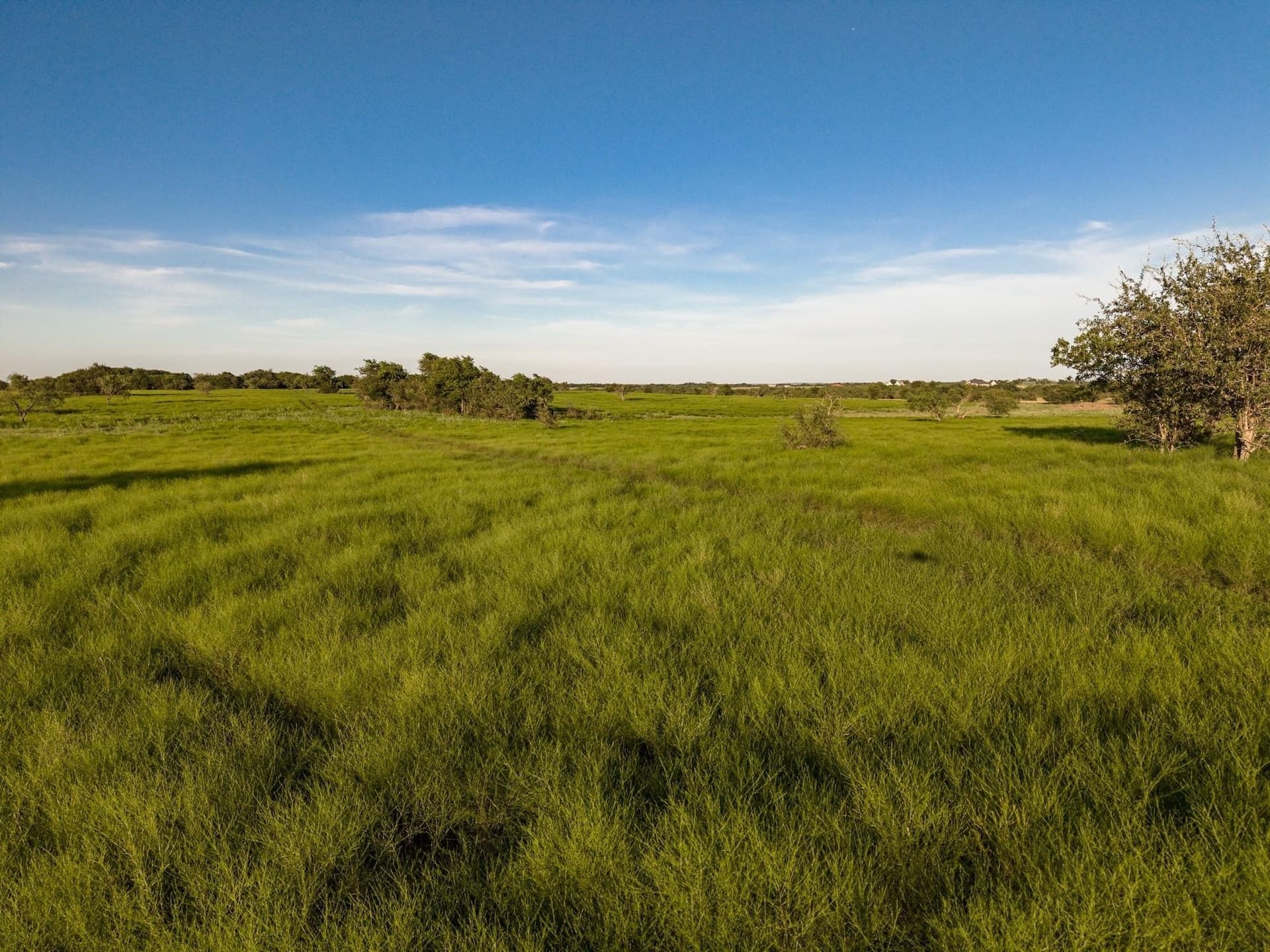 37 acres in McLennan County - photo 14
