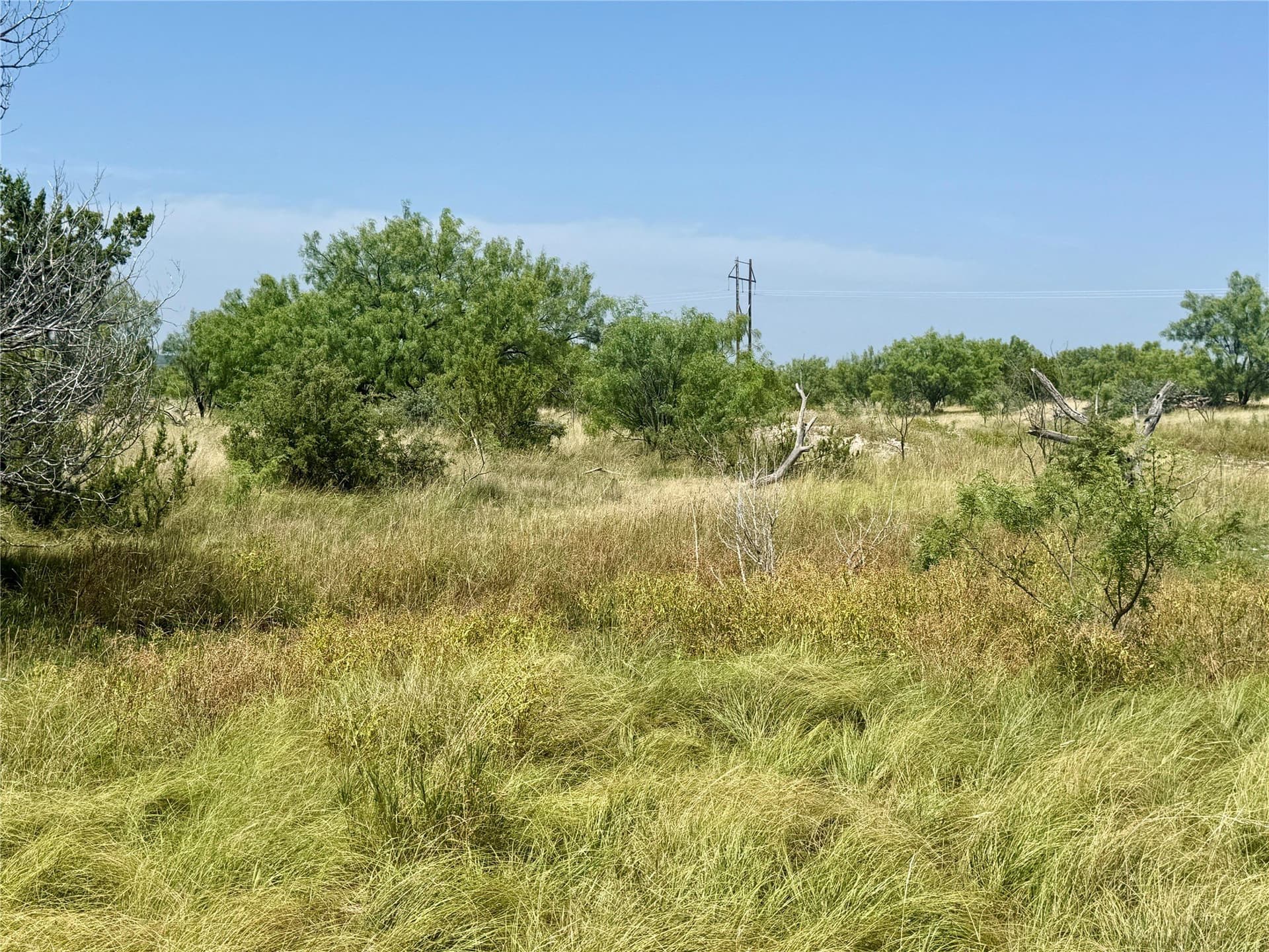 33 acres in Tom Green County - photo 37