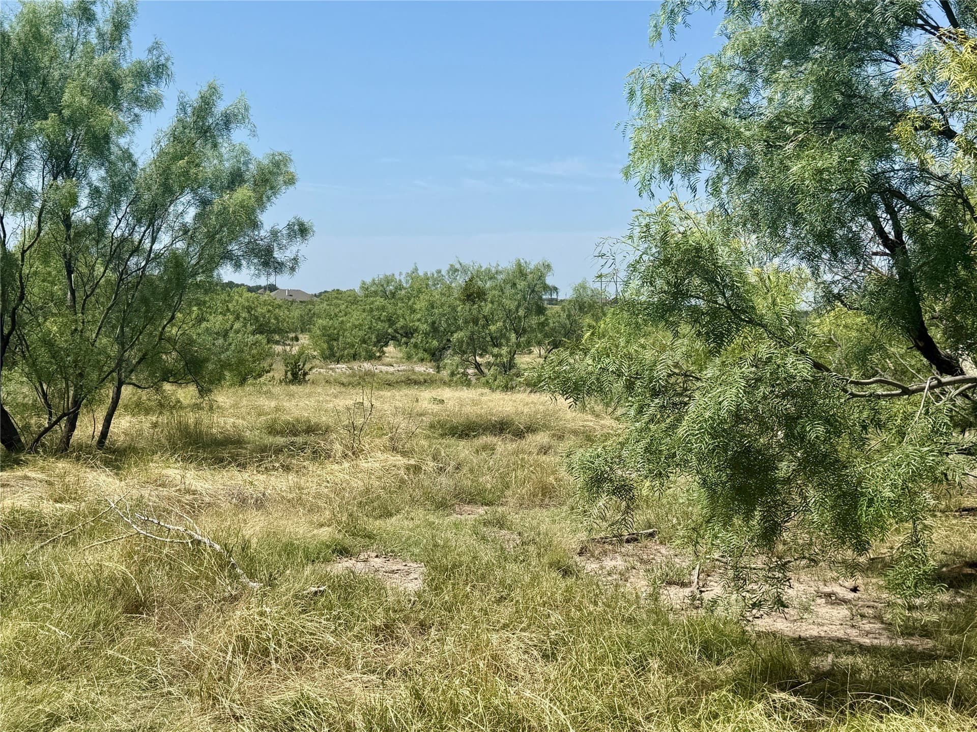 33 acres in Tom Green County - photo 36