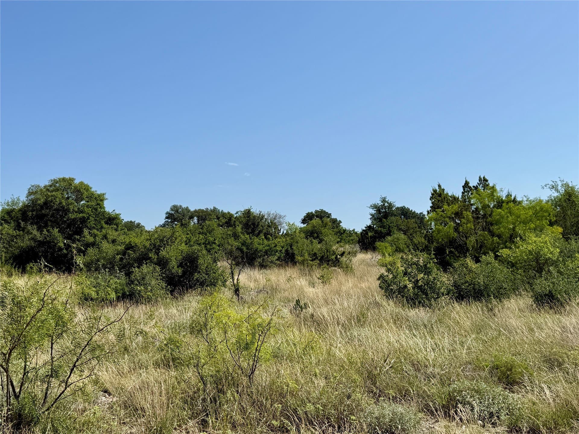 33 acres in Tom Green County - photo 33