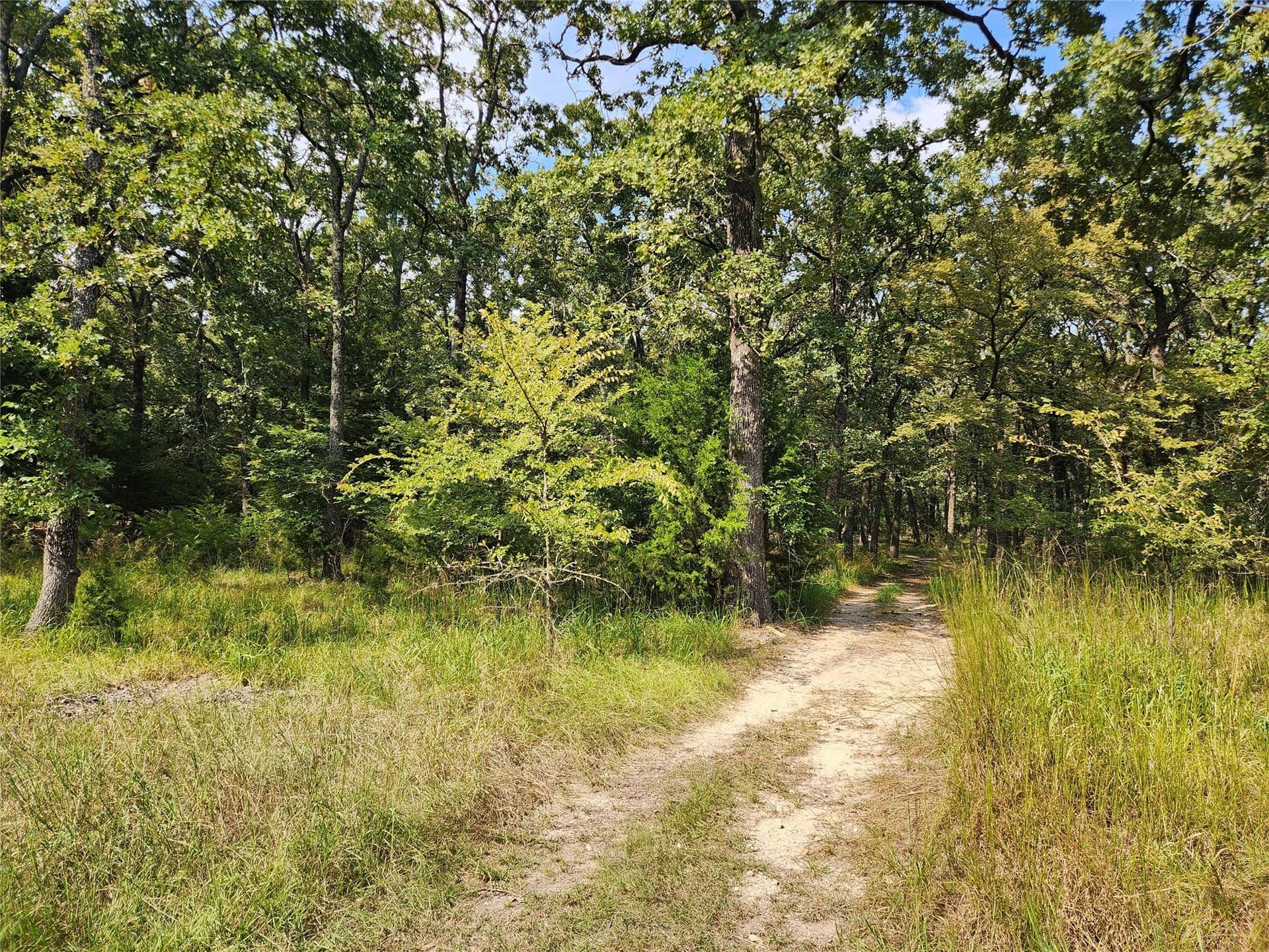 0.48 acres in Hunt County - photo 5