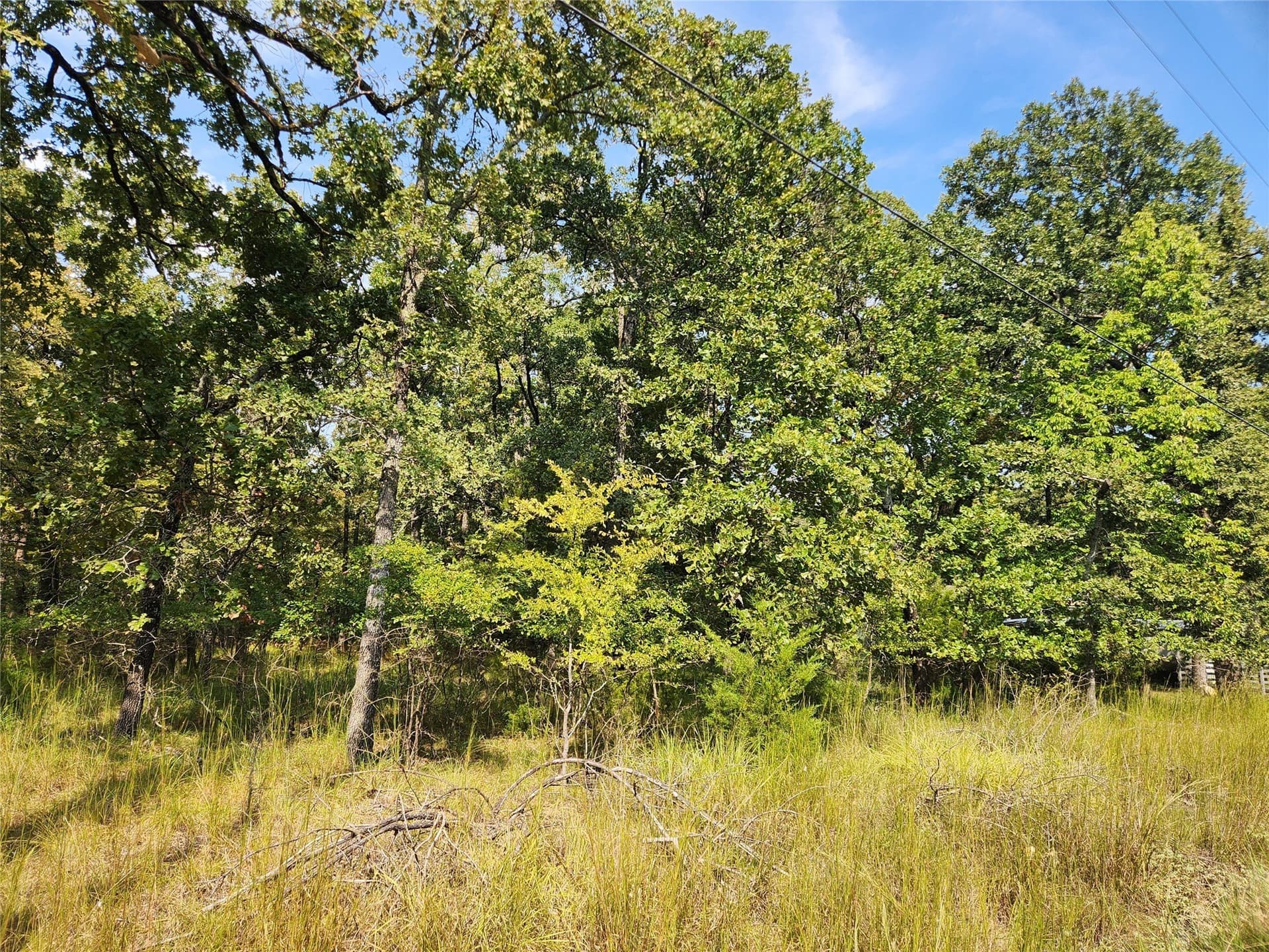 0.48 acres in Hunt County - photo 4