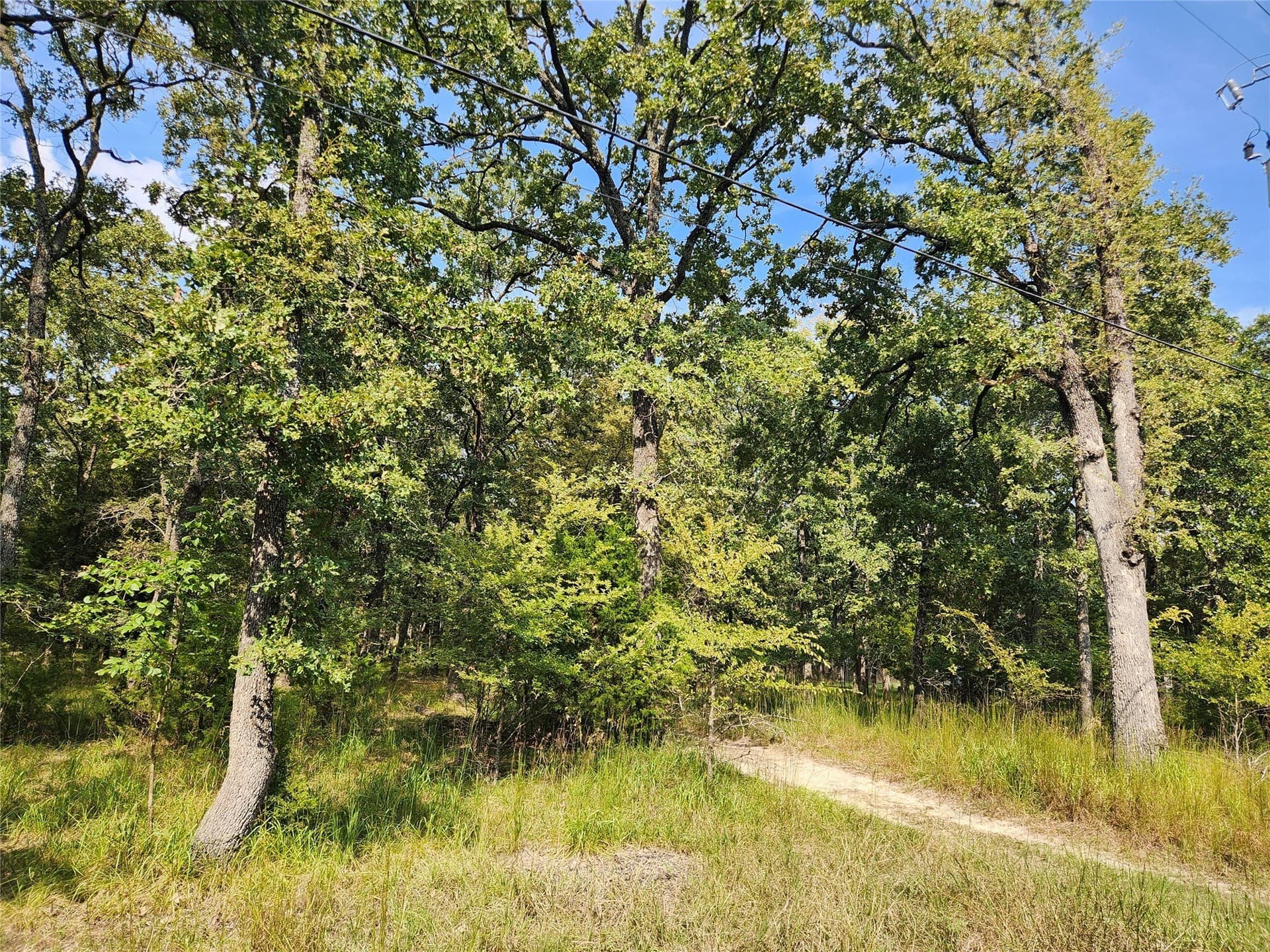 0.48 acres in Hunt County - photo 7