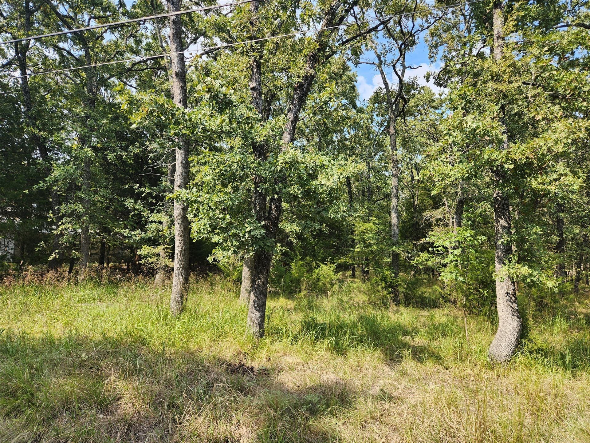 0.48 acres in Hunt County - photo 8