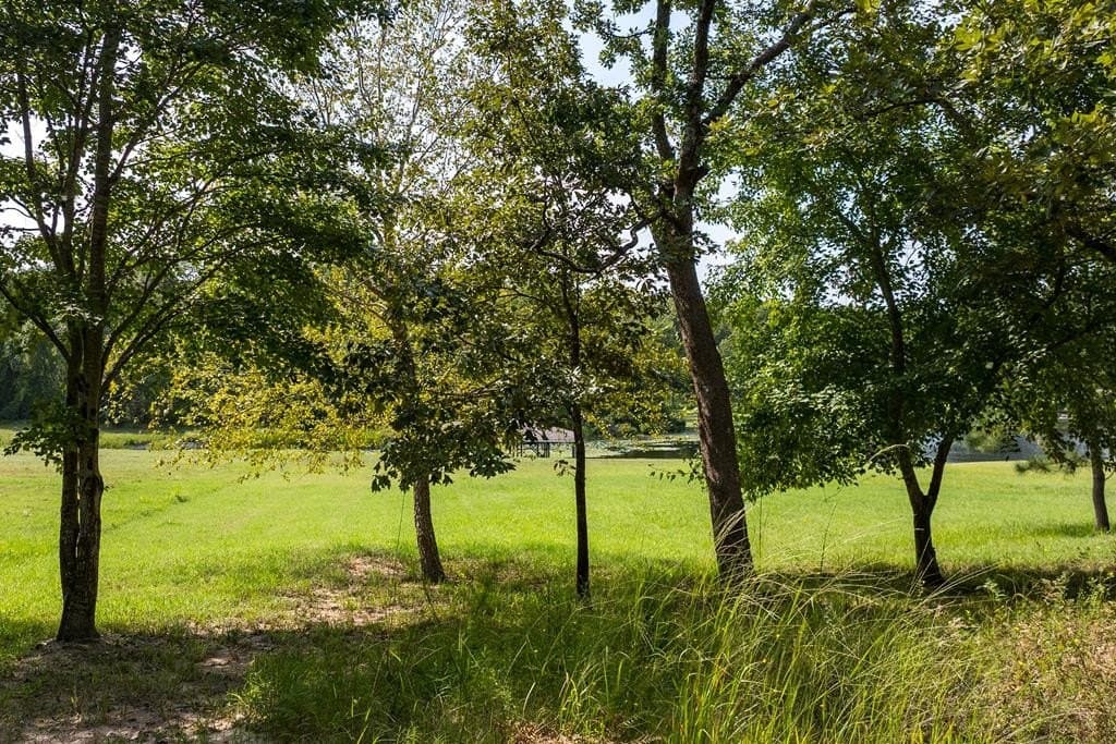 1.37 acres in Henderson County - photo 13